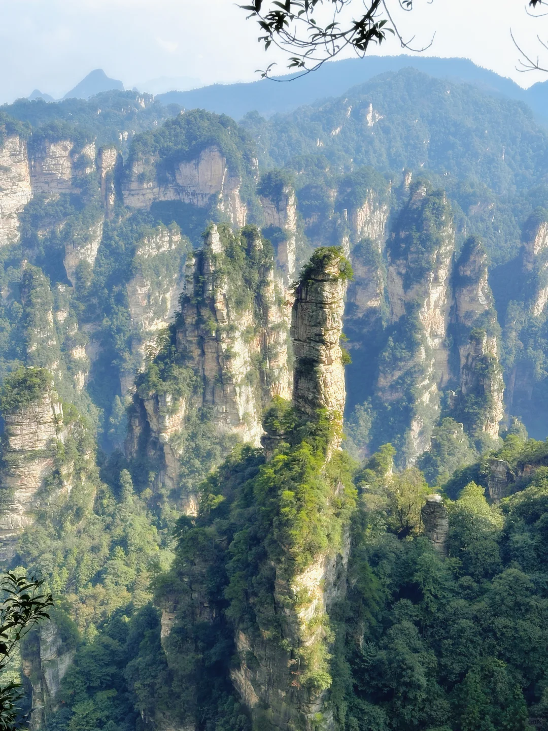张家界攻略不求人篇！两天一夜