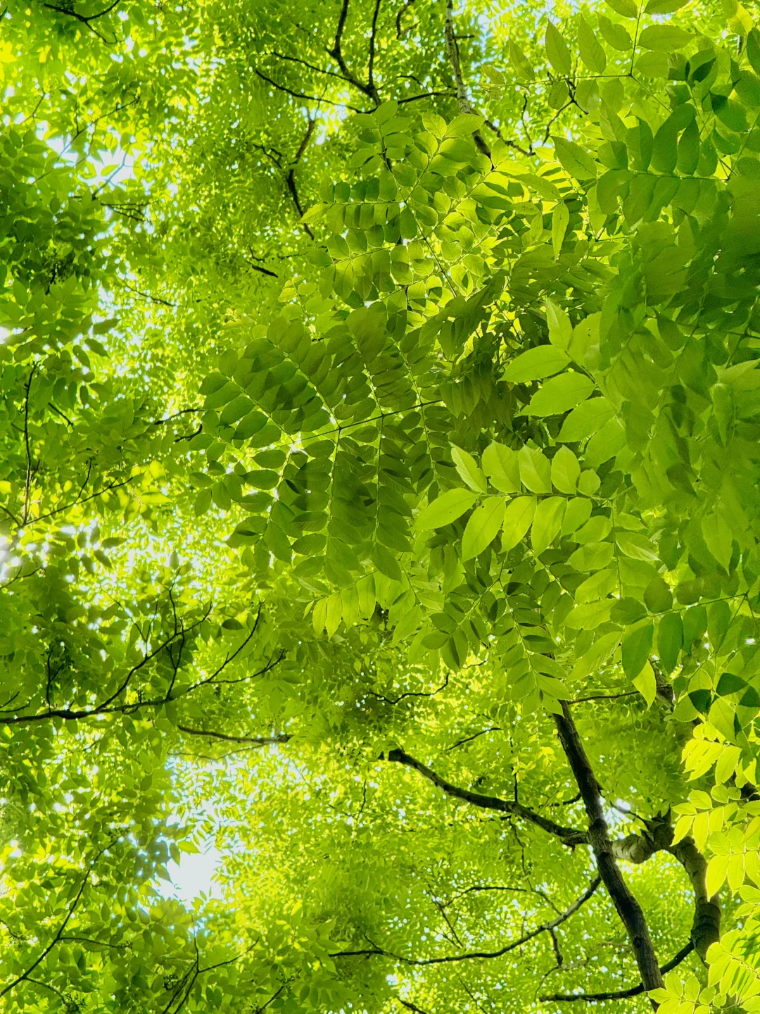 这辈子都舍不得删的live图…