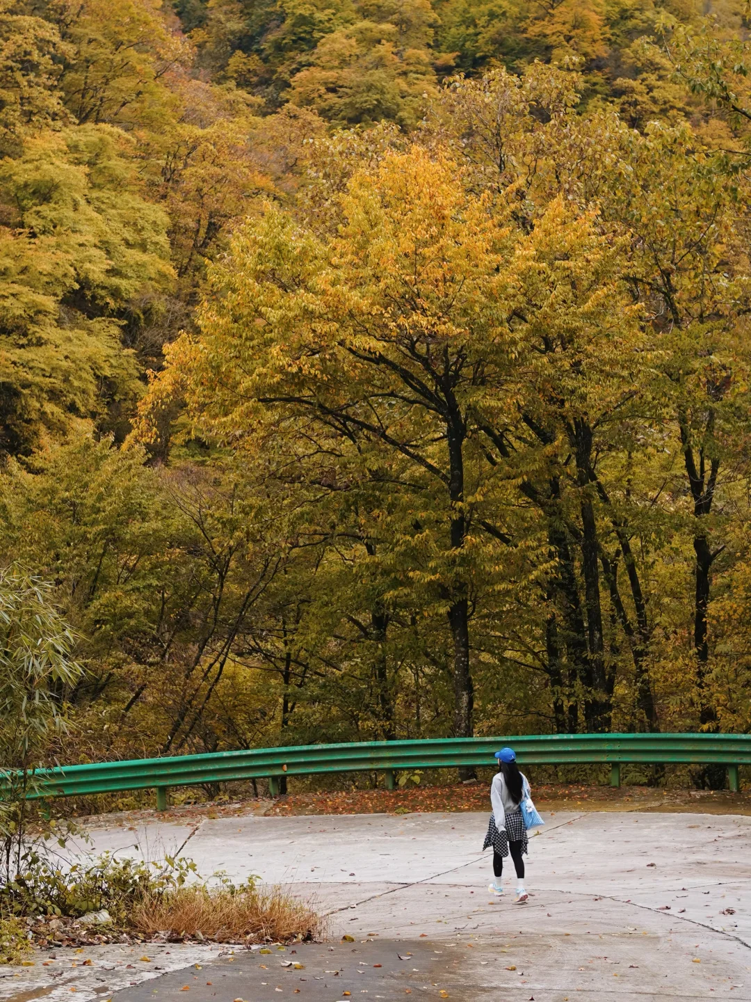 成都🚄一日往返油画彩林🍁徒步美哭了