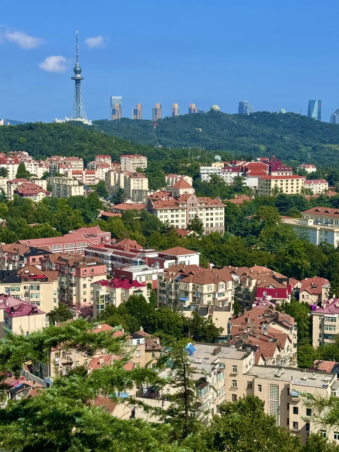 青岛真正好的地方都是免费的（合集）