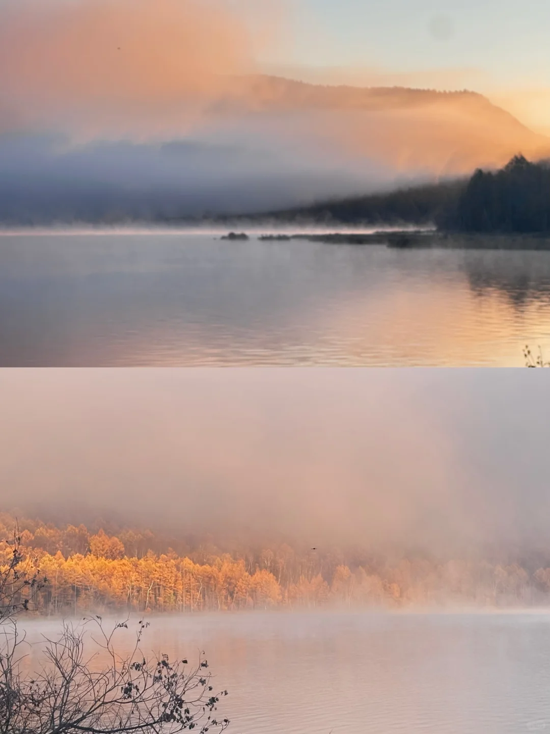 阿尔山怎么美成这样🍂‼️