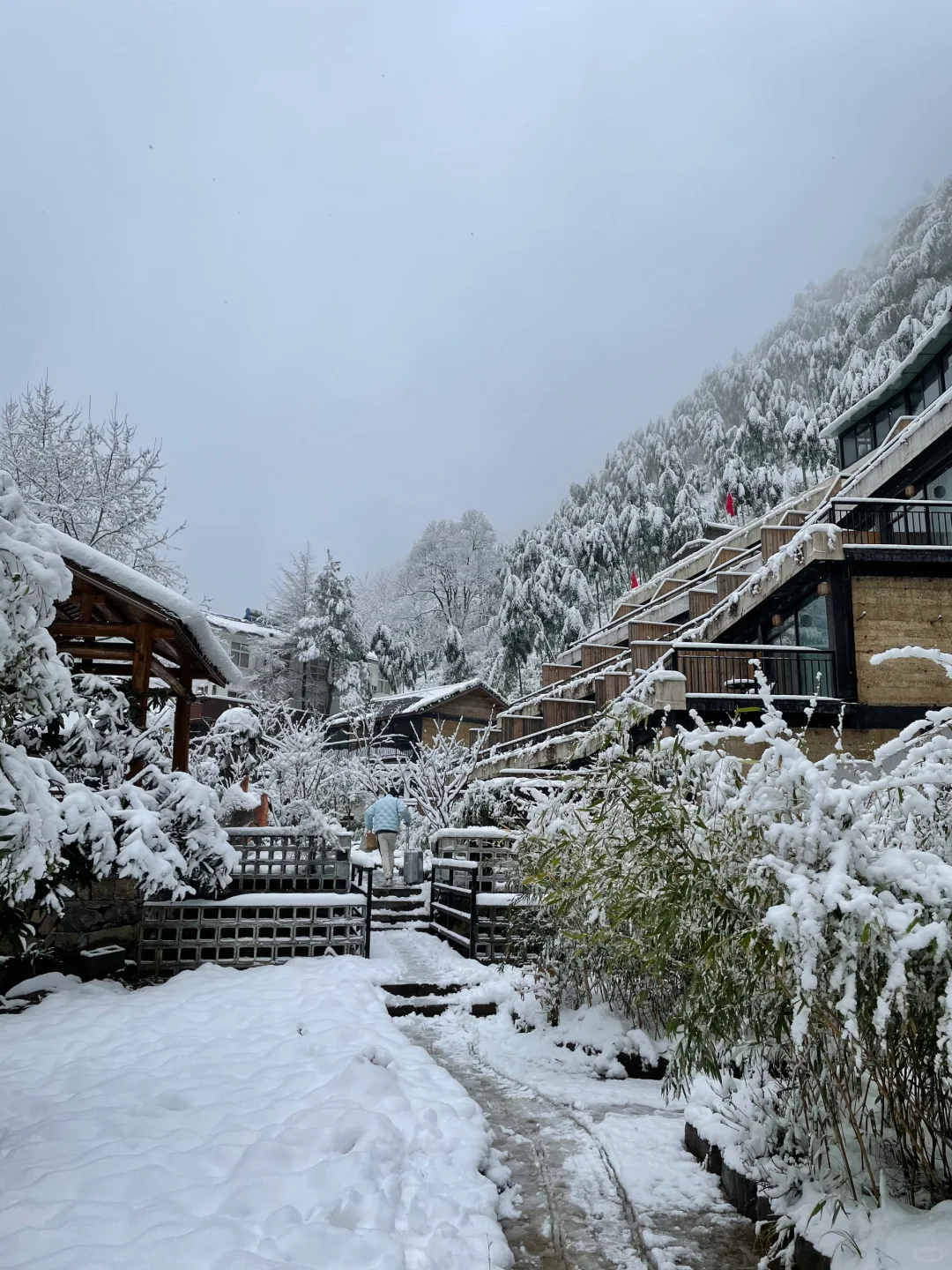 浙江安吉|江浙沪有自己的阿勒泰
