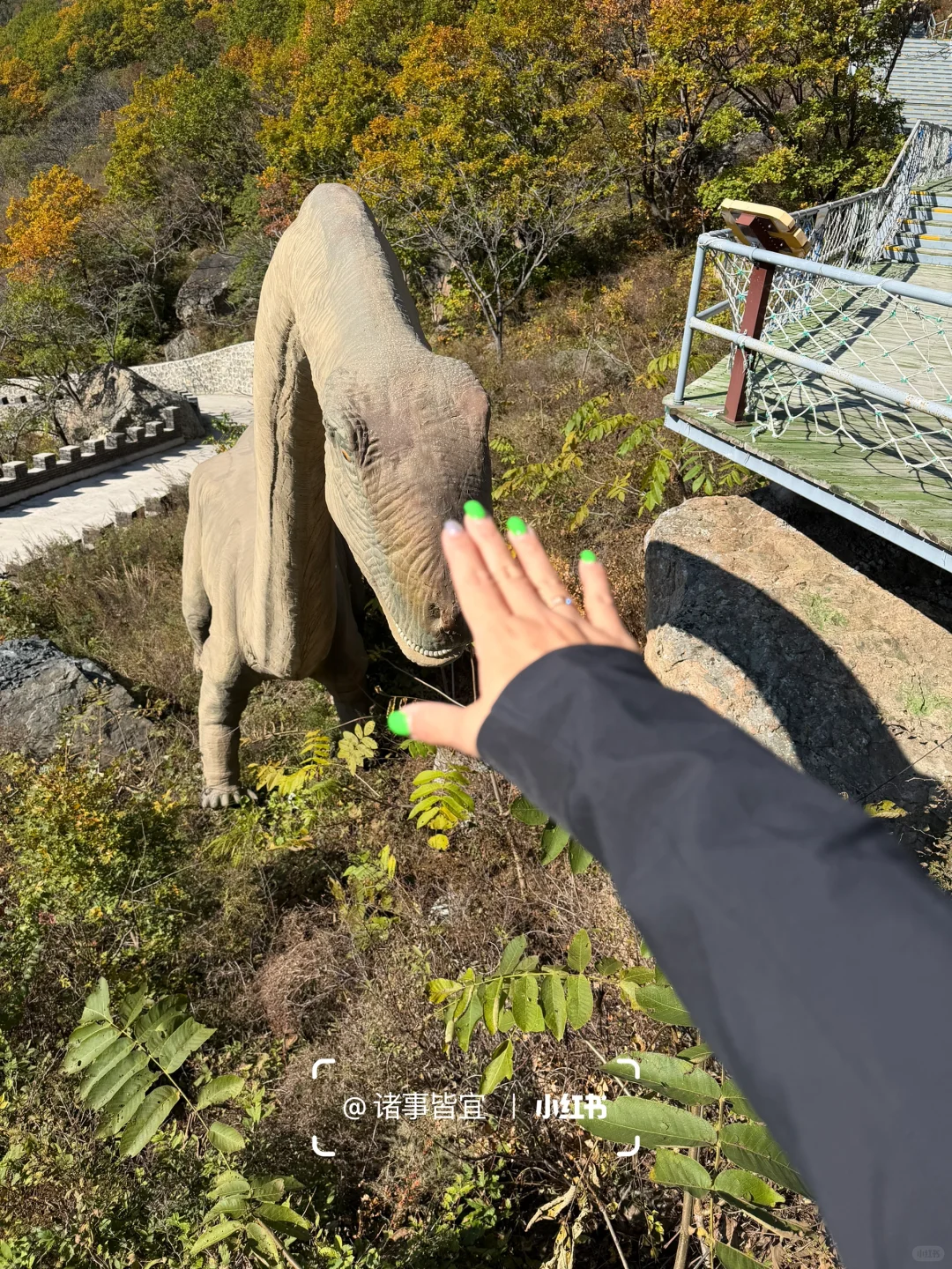 独属北京十月的绝美风景📍百瑞谷保姆级攻略