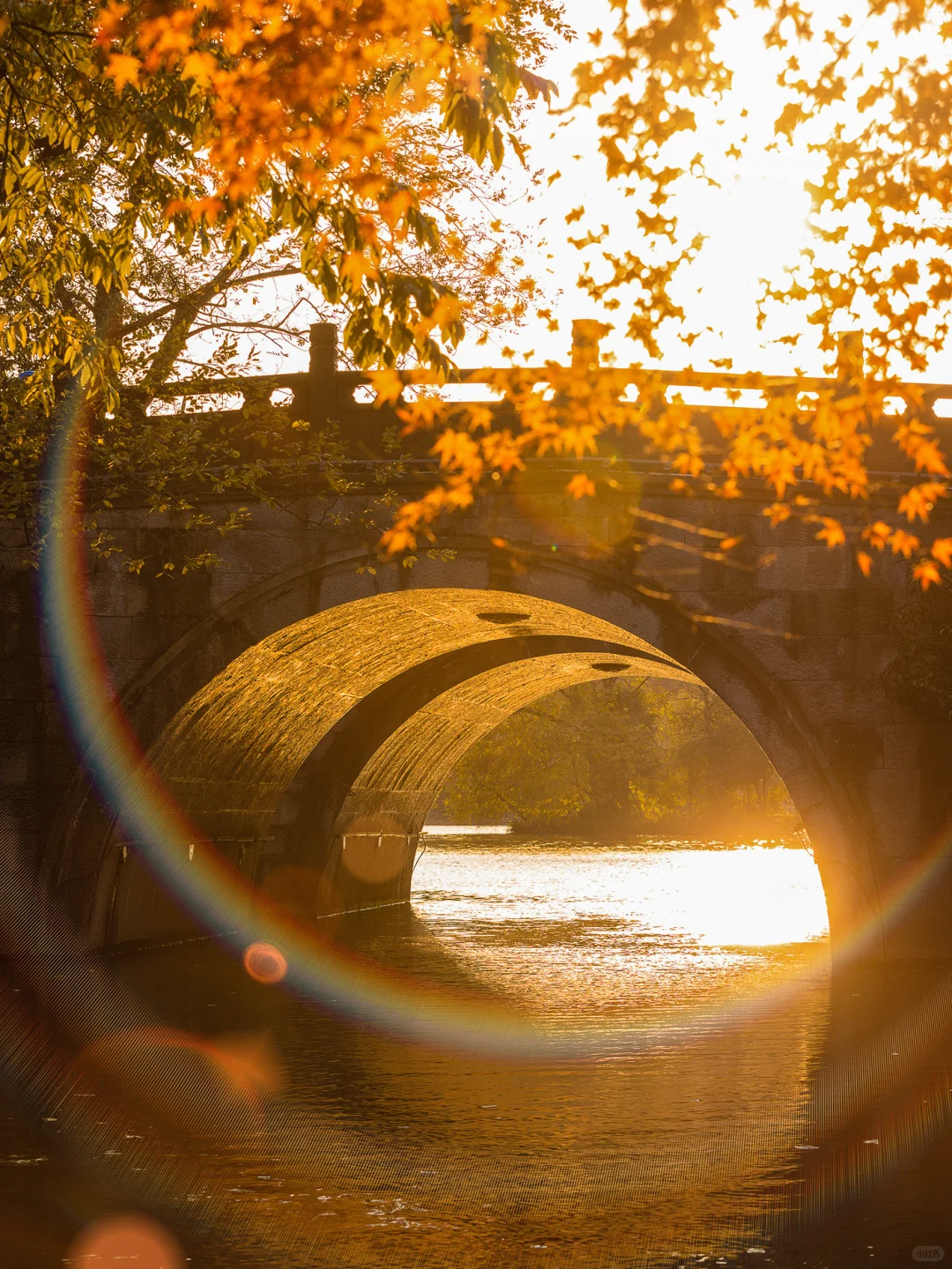 杭州最美的秋景都是免费的🍂附机位！
