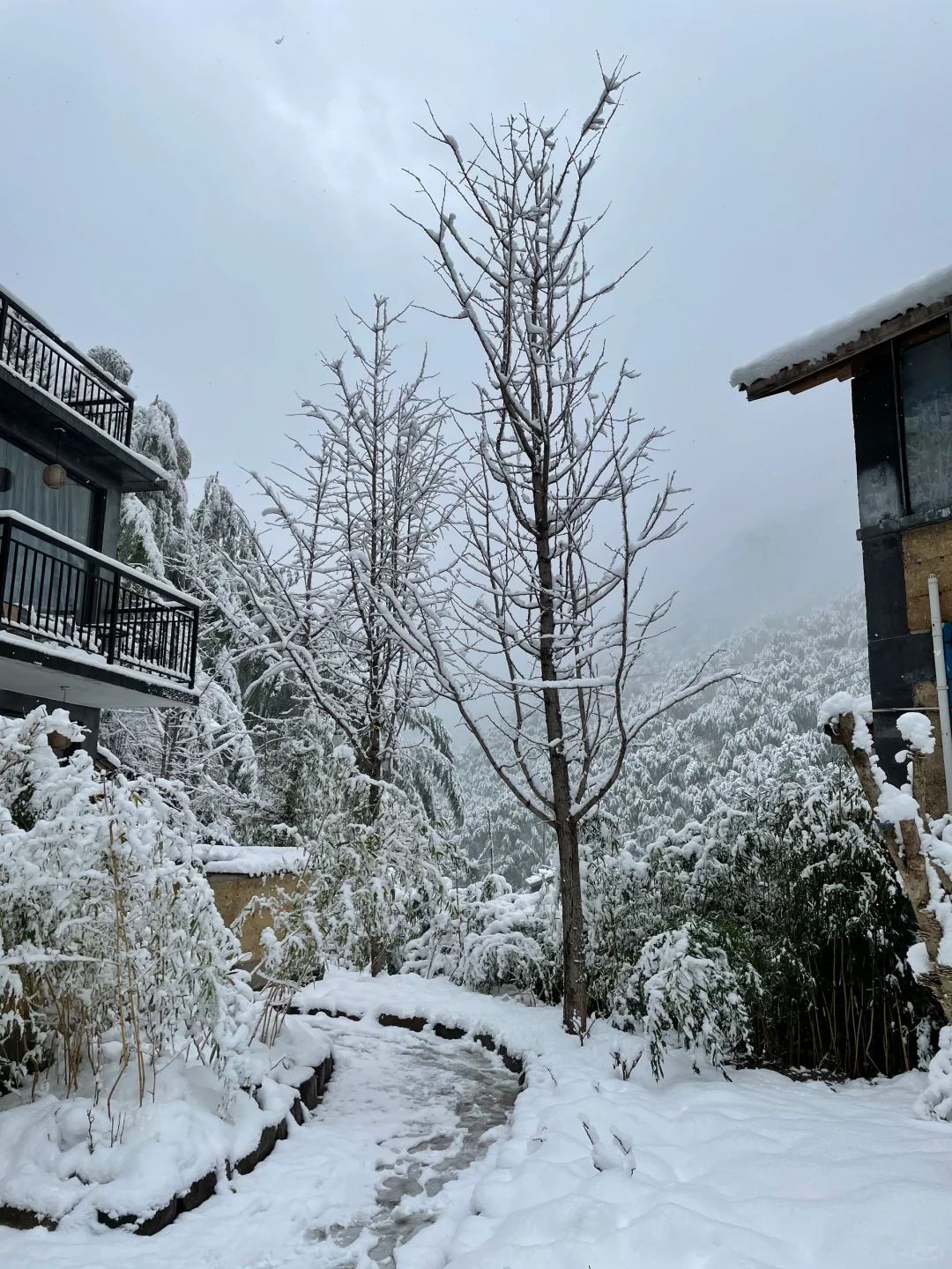 浙江安吉|江浙沪有自己的阿勒泰