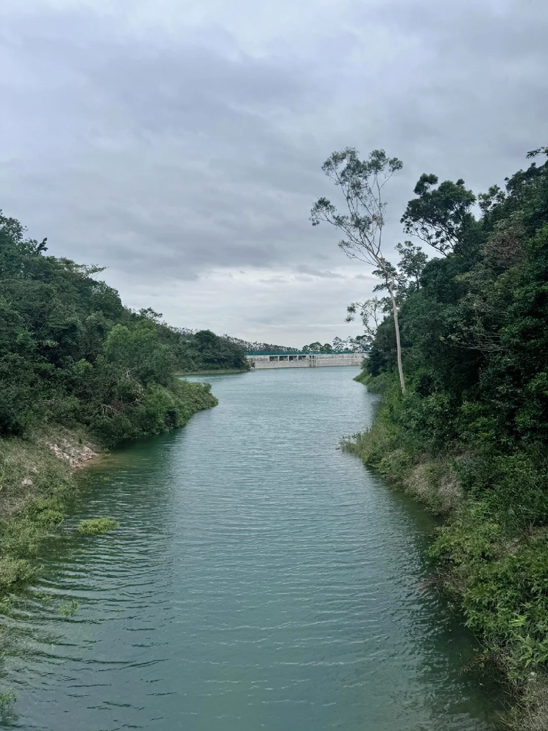 有多少个人知道金台寺旧址在哪，分享给大家
