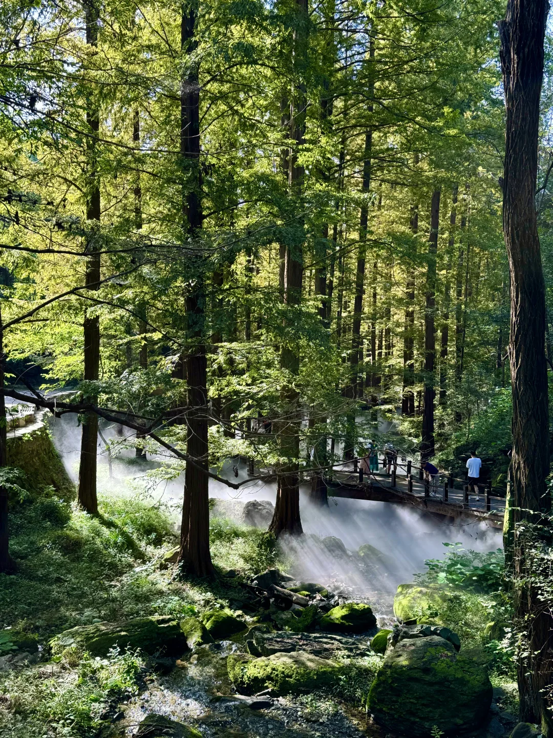 是会带每个来北京的朋友 都去的地方