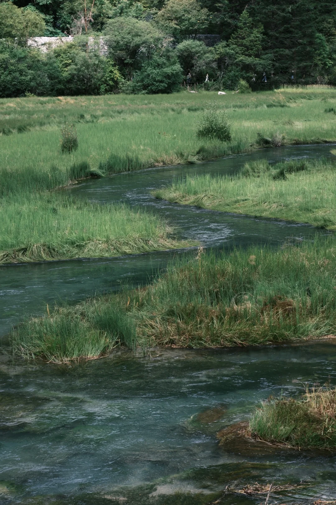 📍JiuZhaiGou 九寨沟