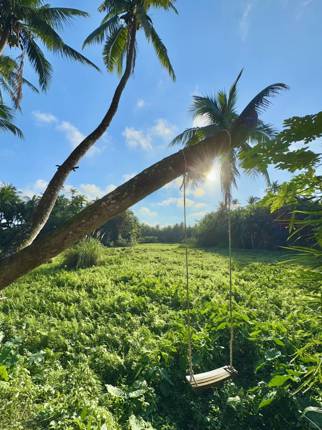 海南…果然最牛逼的地方都是免费的！！（合集）
