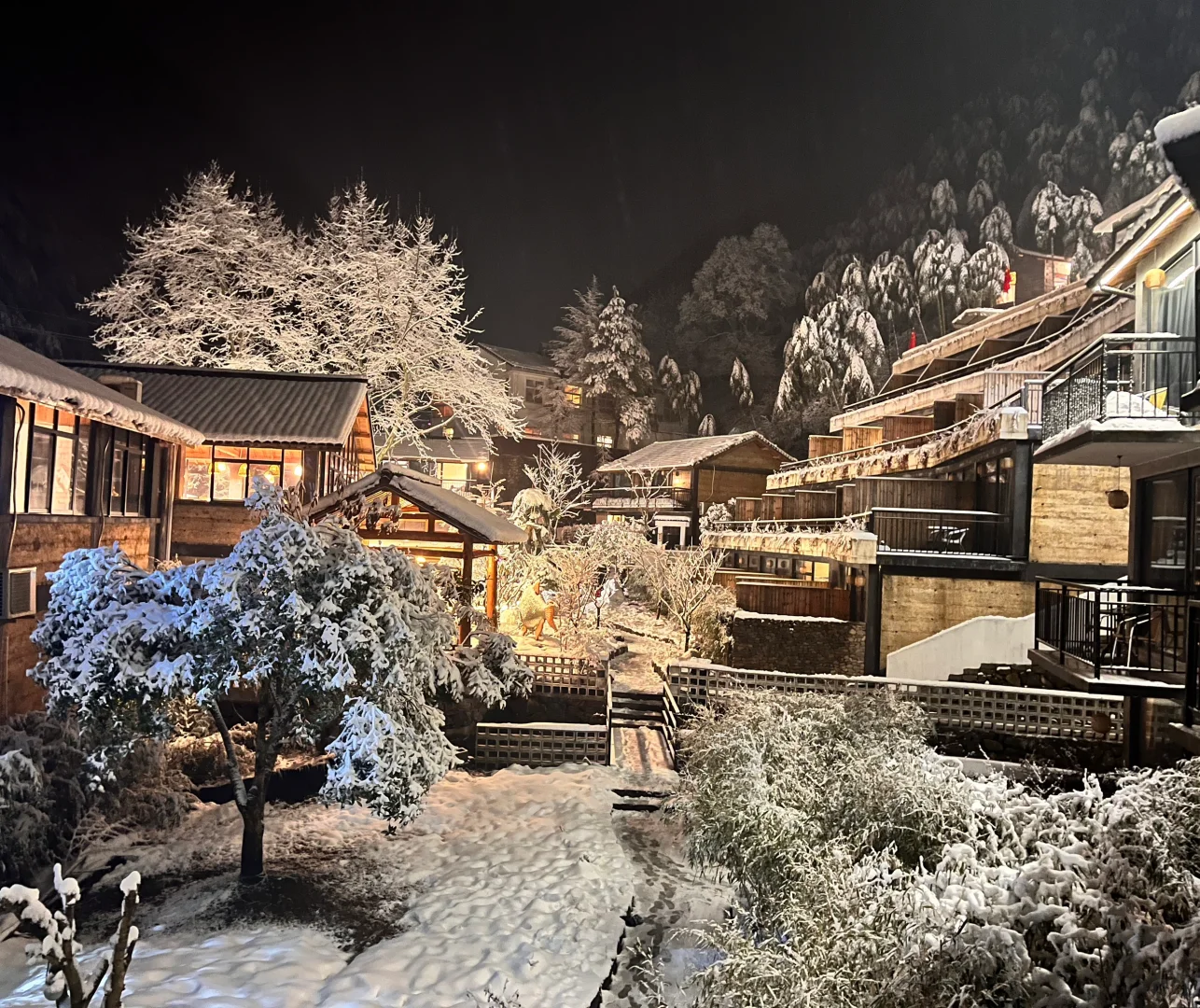 浙江安吉|江浙沪有自己的阿勒泰