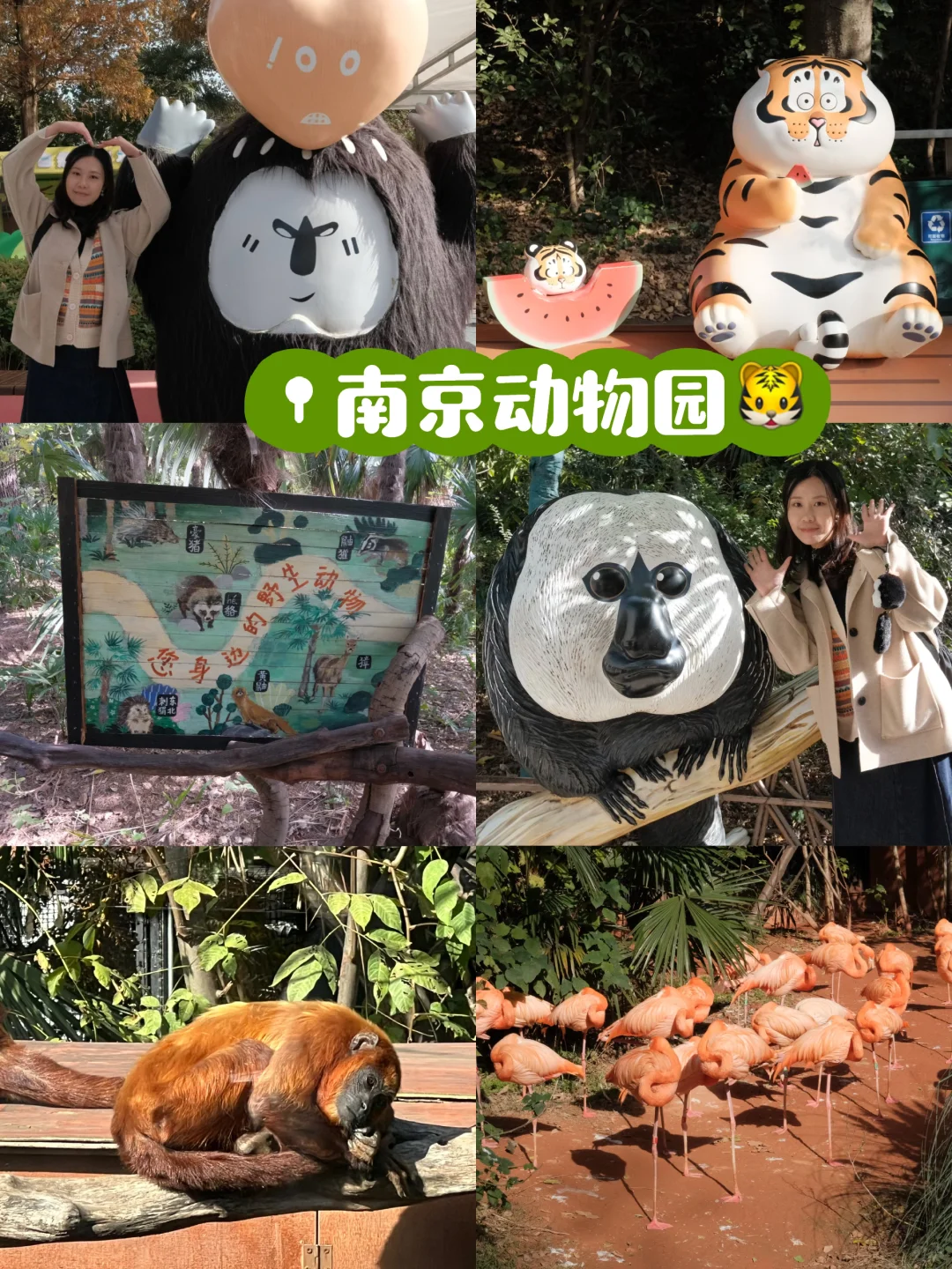 🍁南京四日游赏秋路线📍