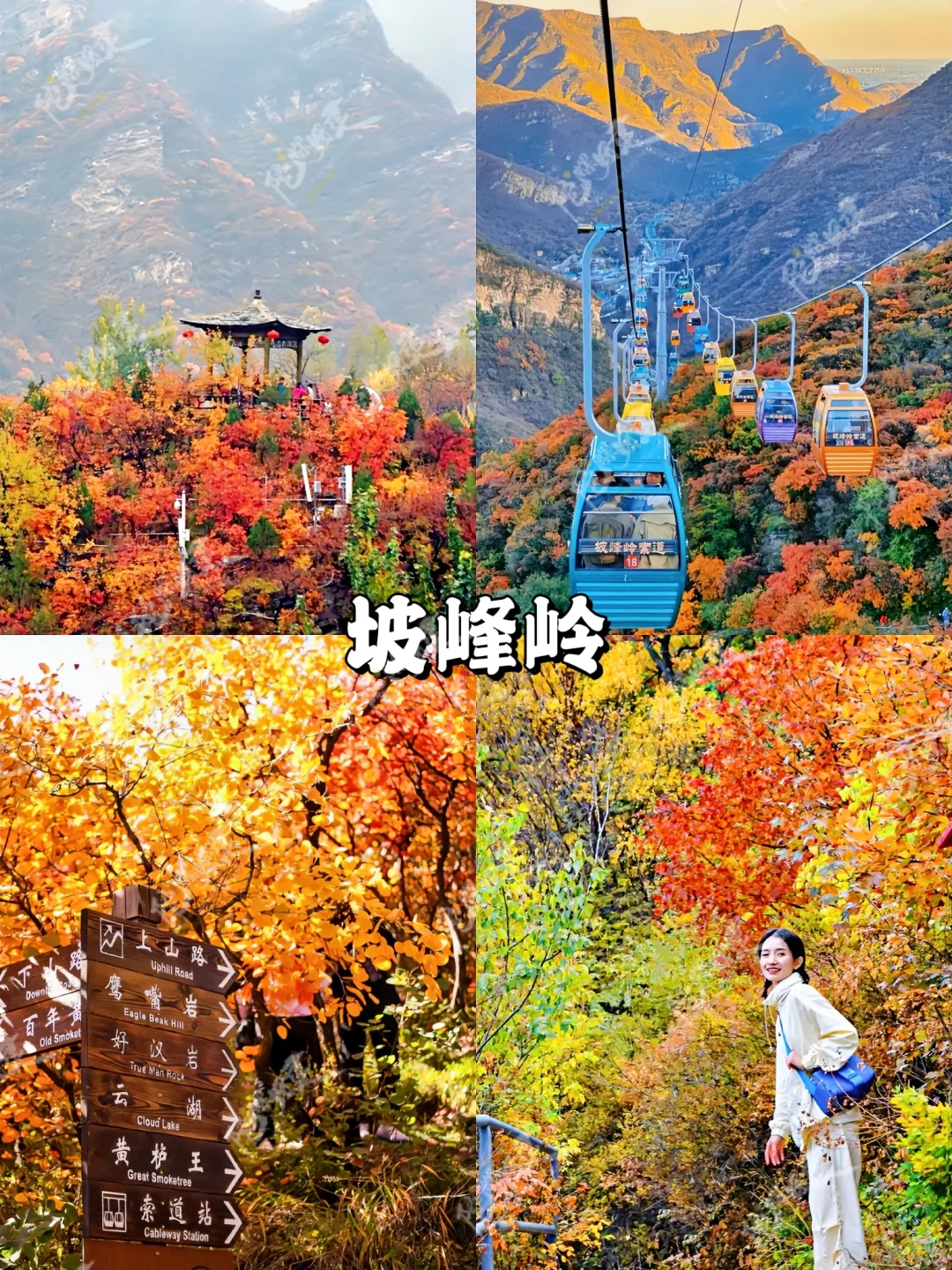 9-11月北京赏秋团建🍂大厂同款抄作业❗