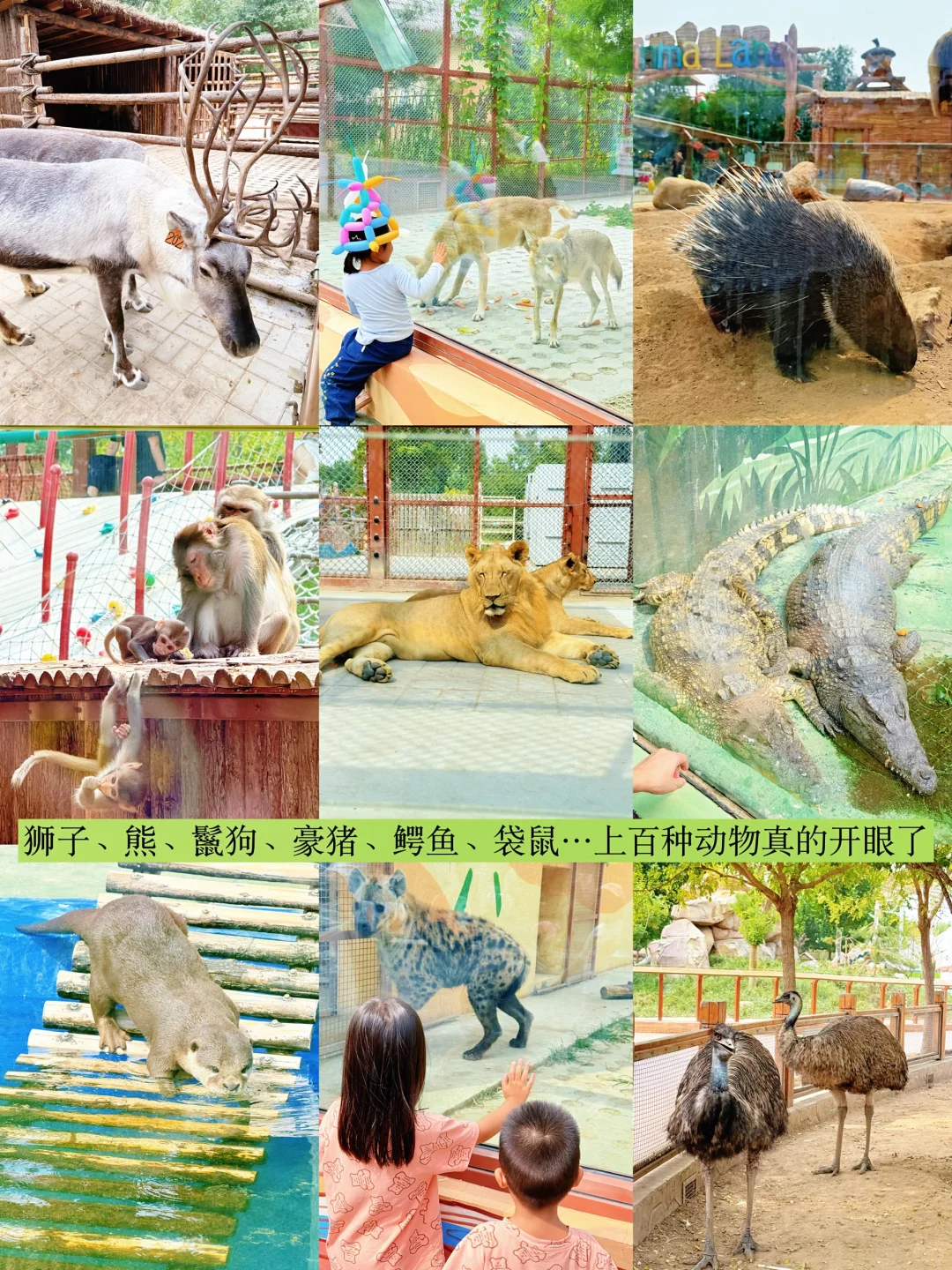 十一躺平亲子旅游🚩——雄安3天2夜