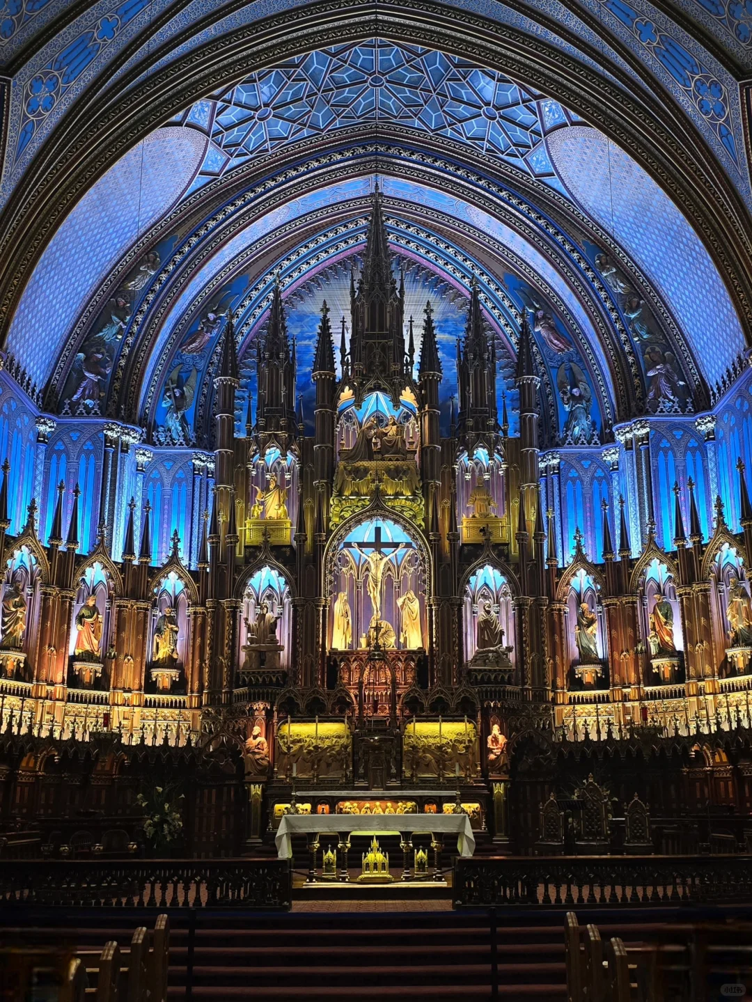 🇨🇦[蒙特利尔]加拿大版巴黎圣母院巡礼