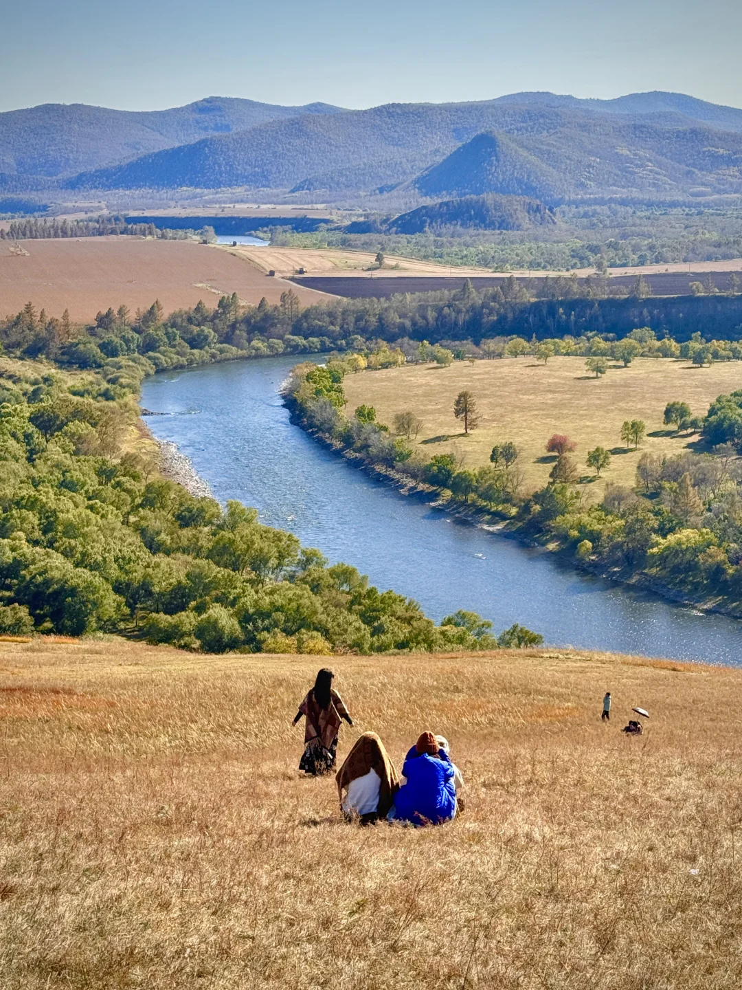 大兴安岭❗️没有一个地方比呼伦贝尔更懂秋天