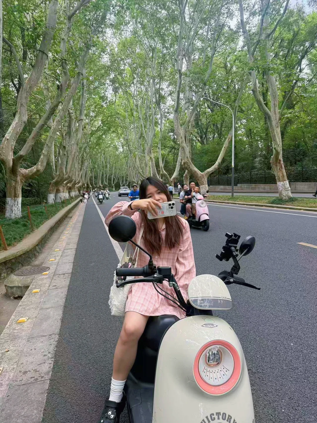 南京旅游真的会惩罚每一个不租车骑的游客!