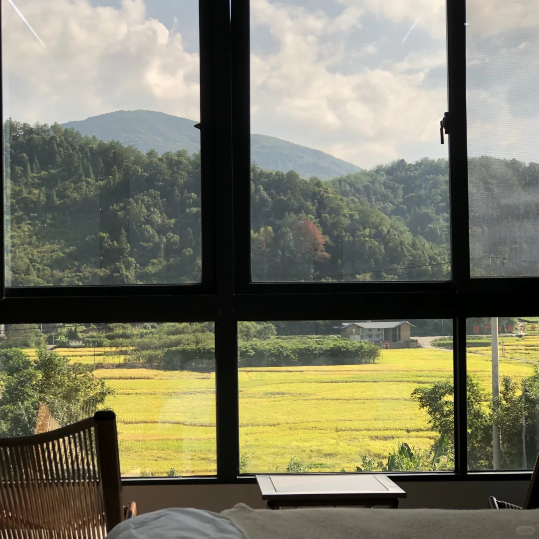 永定土楼旅游攻略