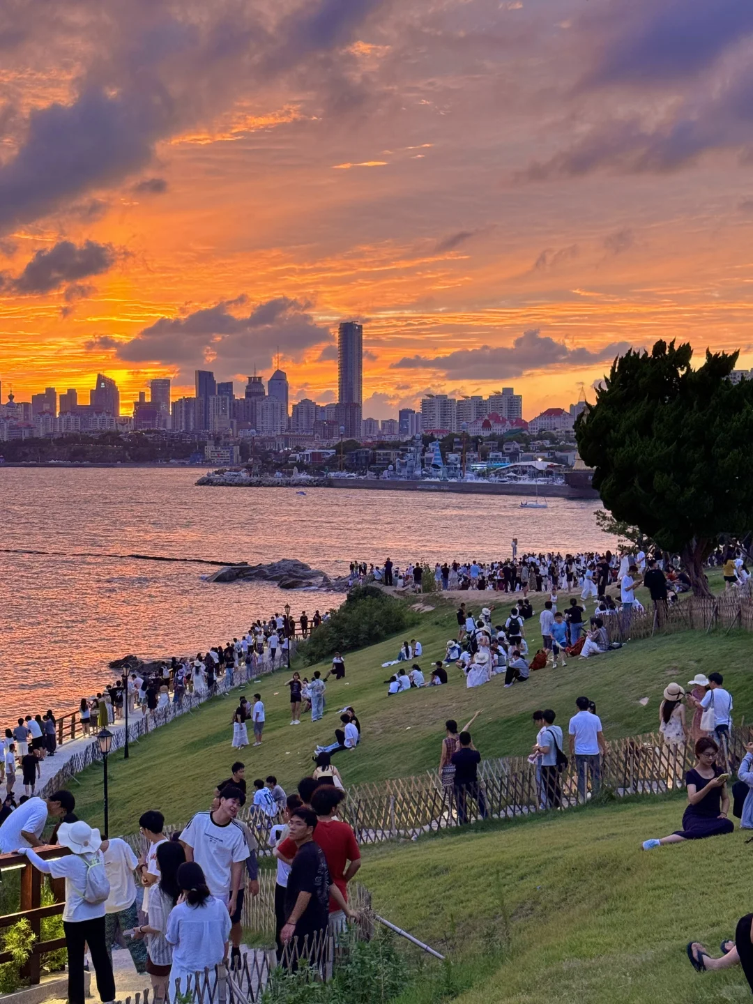 青岛真正好的地方都是免费的（合集）