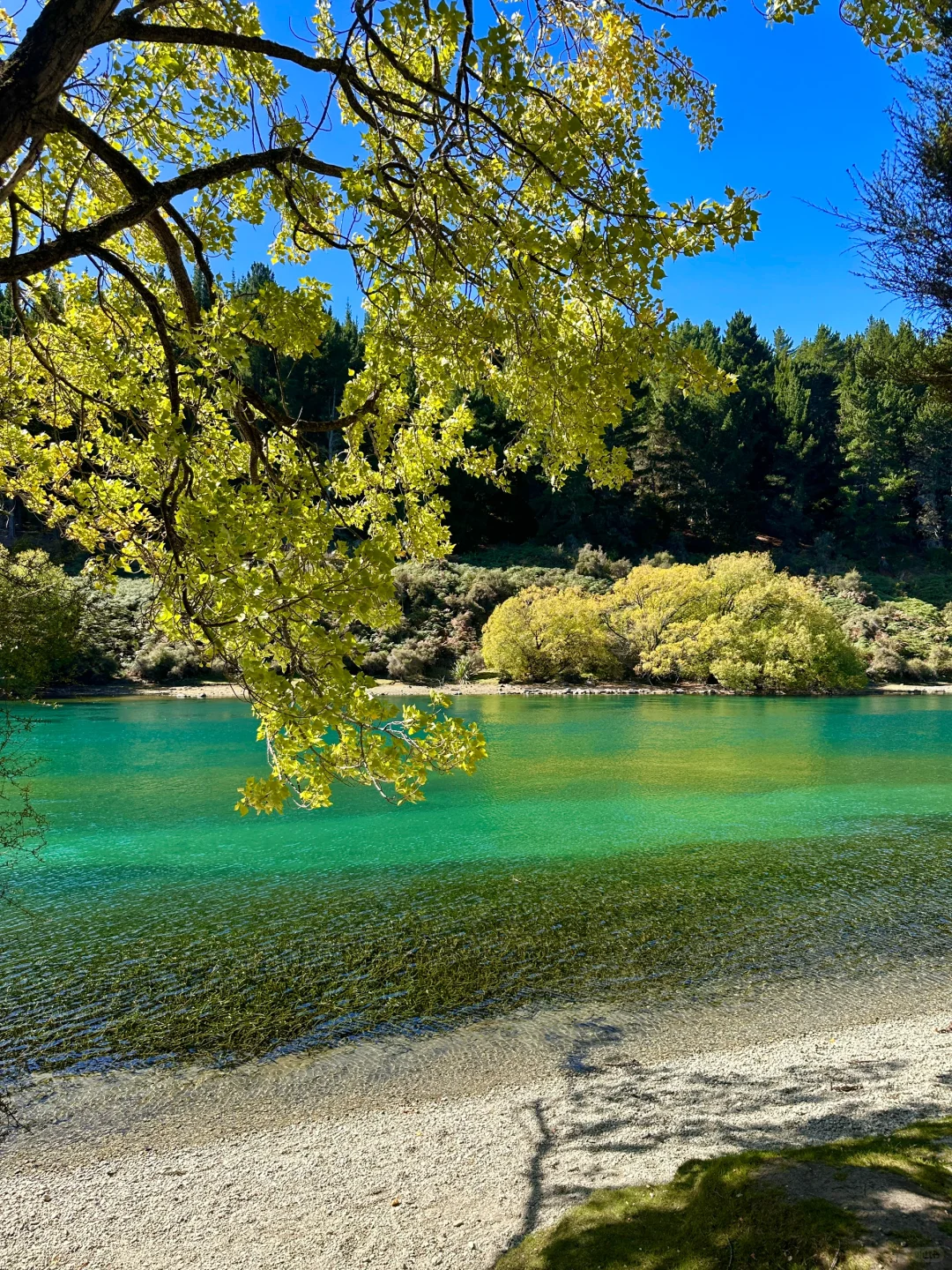 旅行结算｜我的年度live图