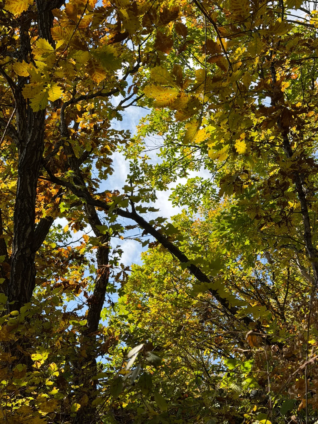 独属北京十月的绝美风景📍百瑞谷保姆级攻略