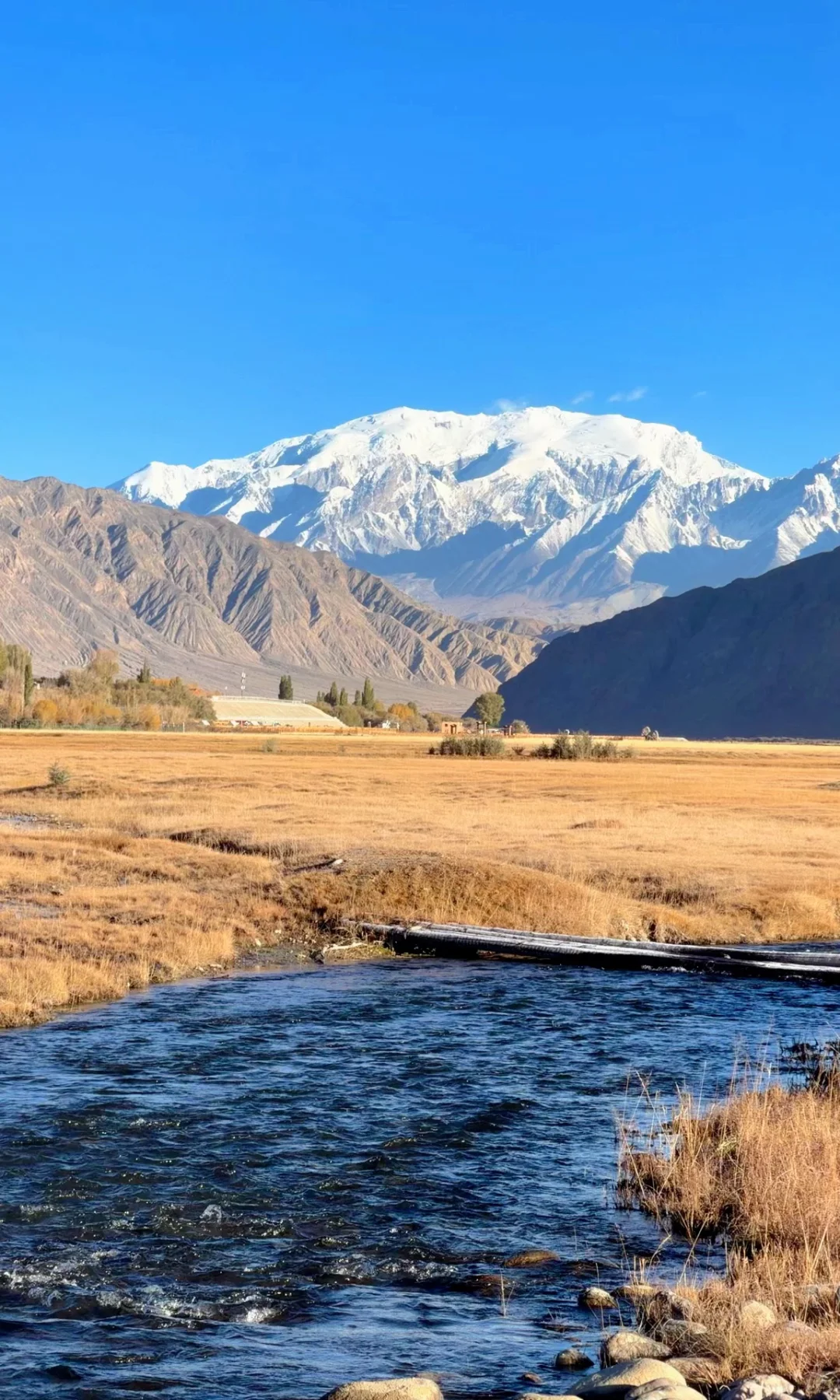 全屏live | 南疆秋天最好的地方都是免费的