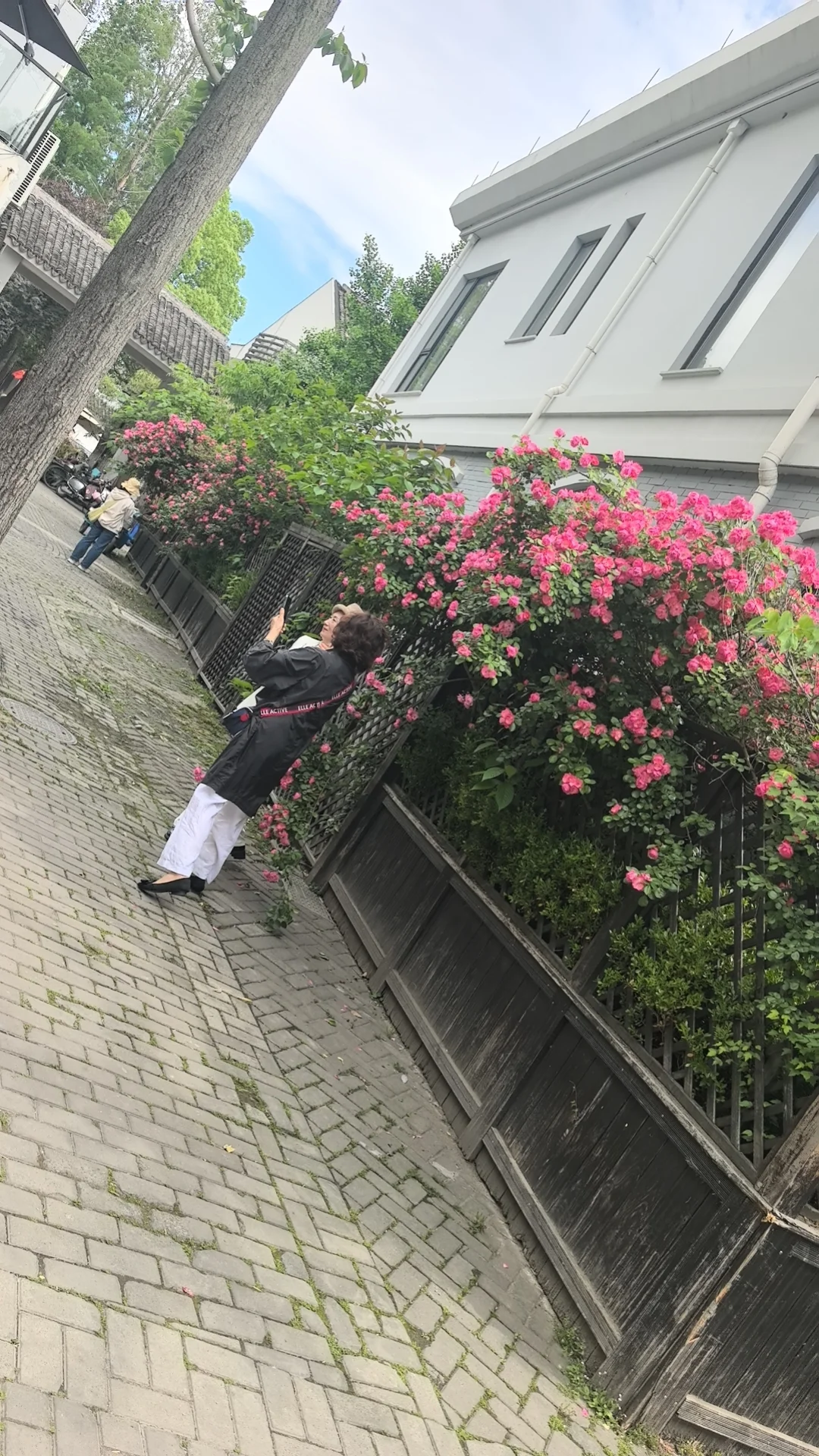 在江南水墨画里偷得浮生半日闲🌿南浔的温