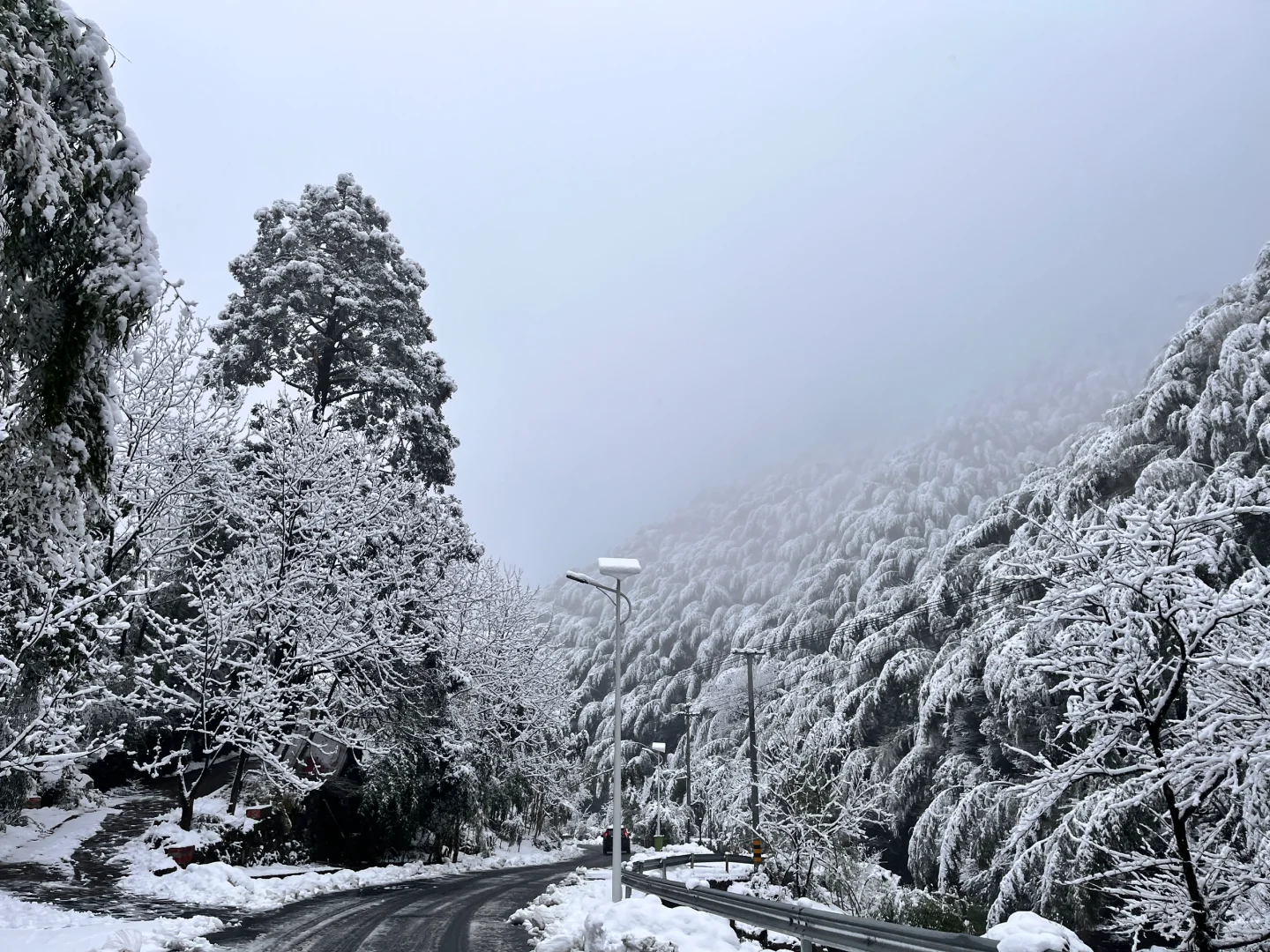 浙江安吉|江浙沪有自己的阿勒泰