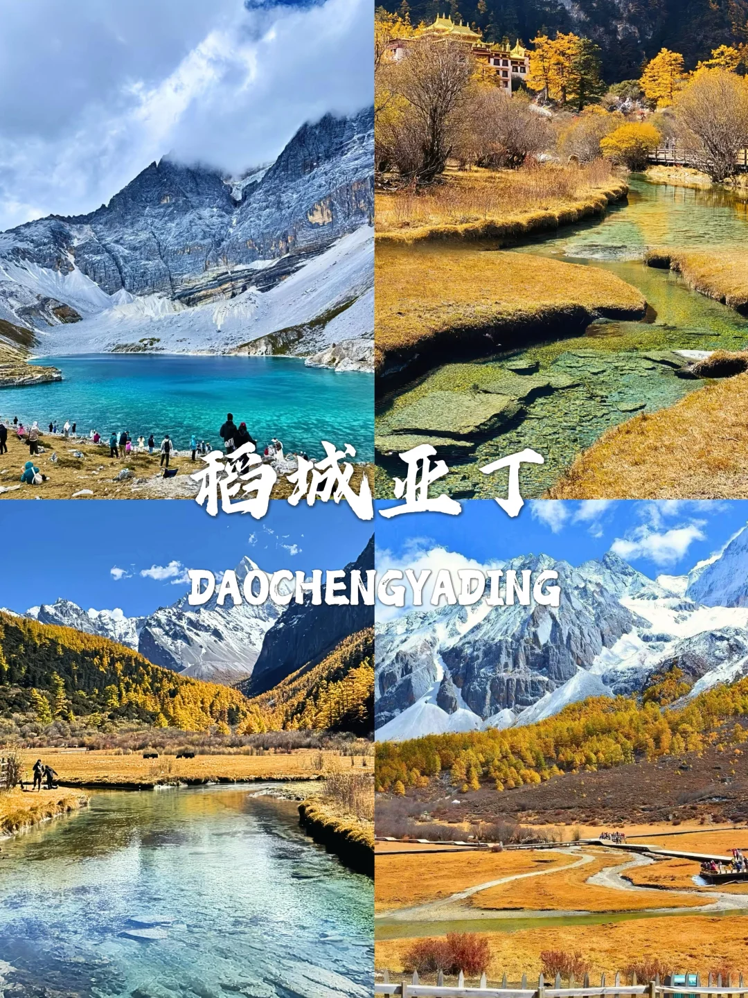 国内赏秋合集🍁这8个地方太值得推荐了