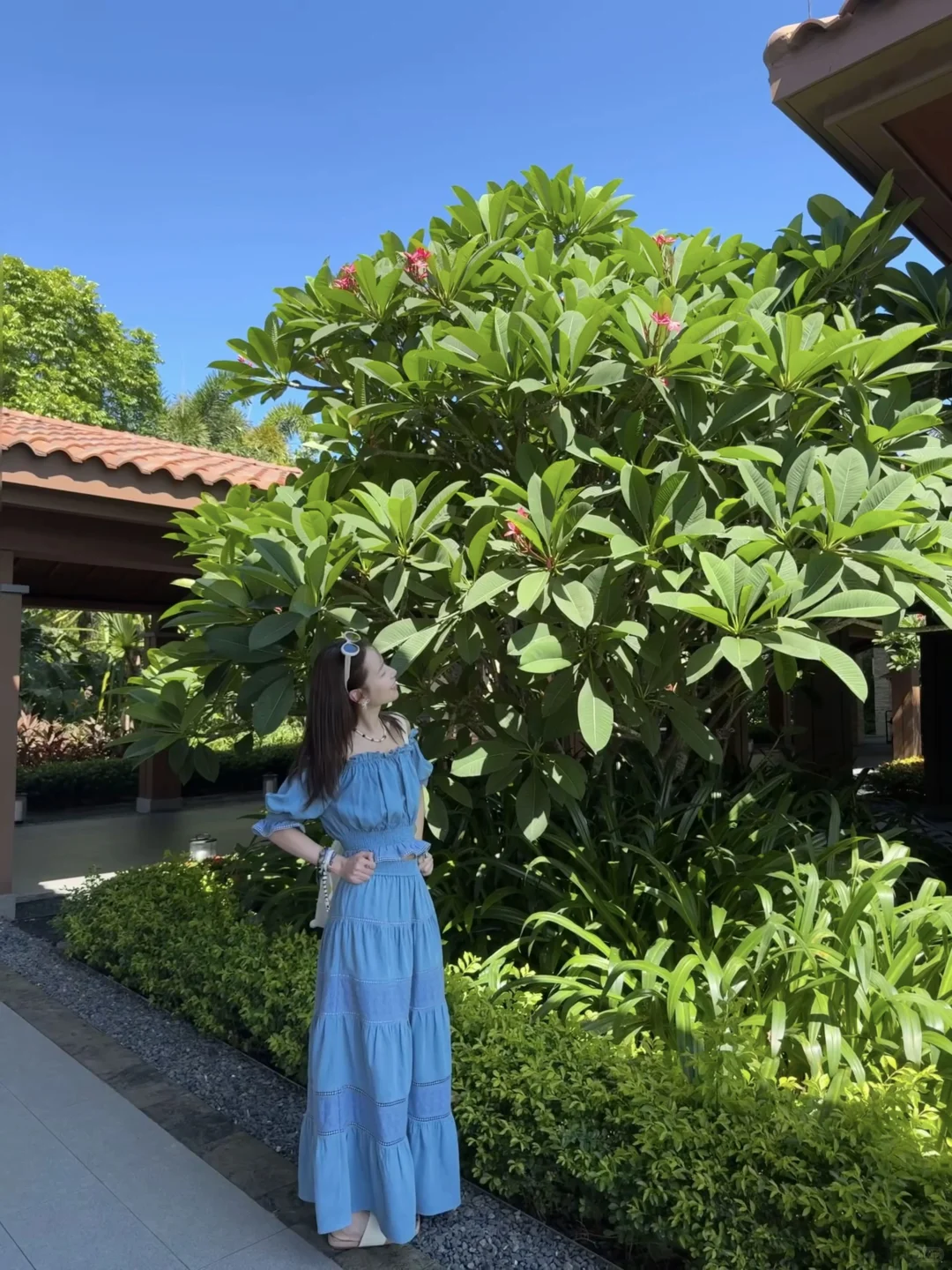 小岛日记🌴☀️