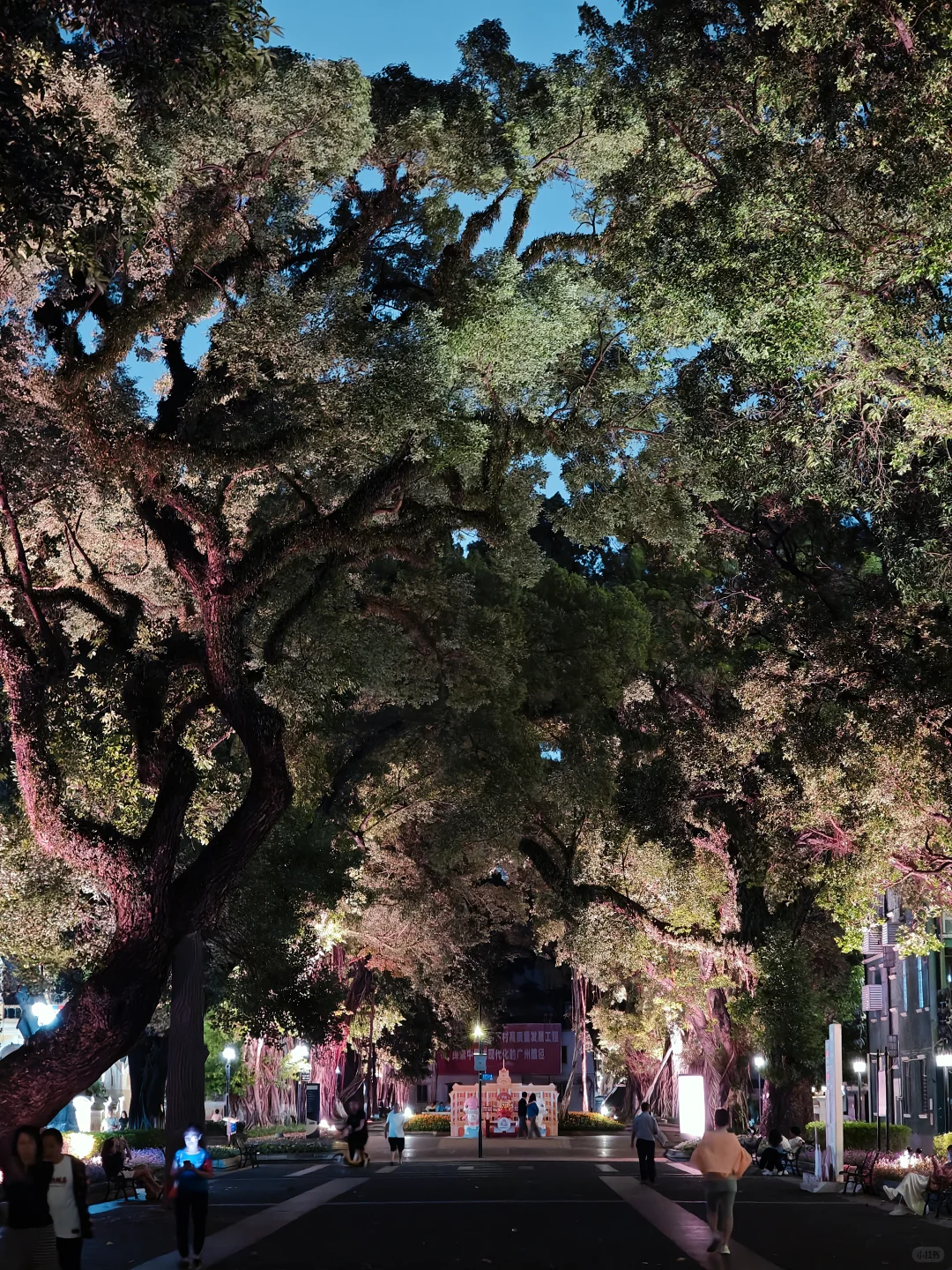 沙面岛夜景也这么美📸