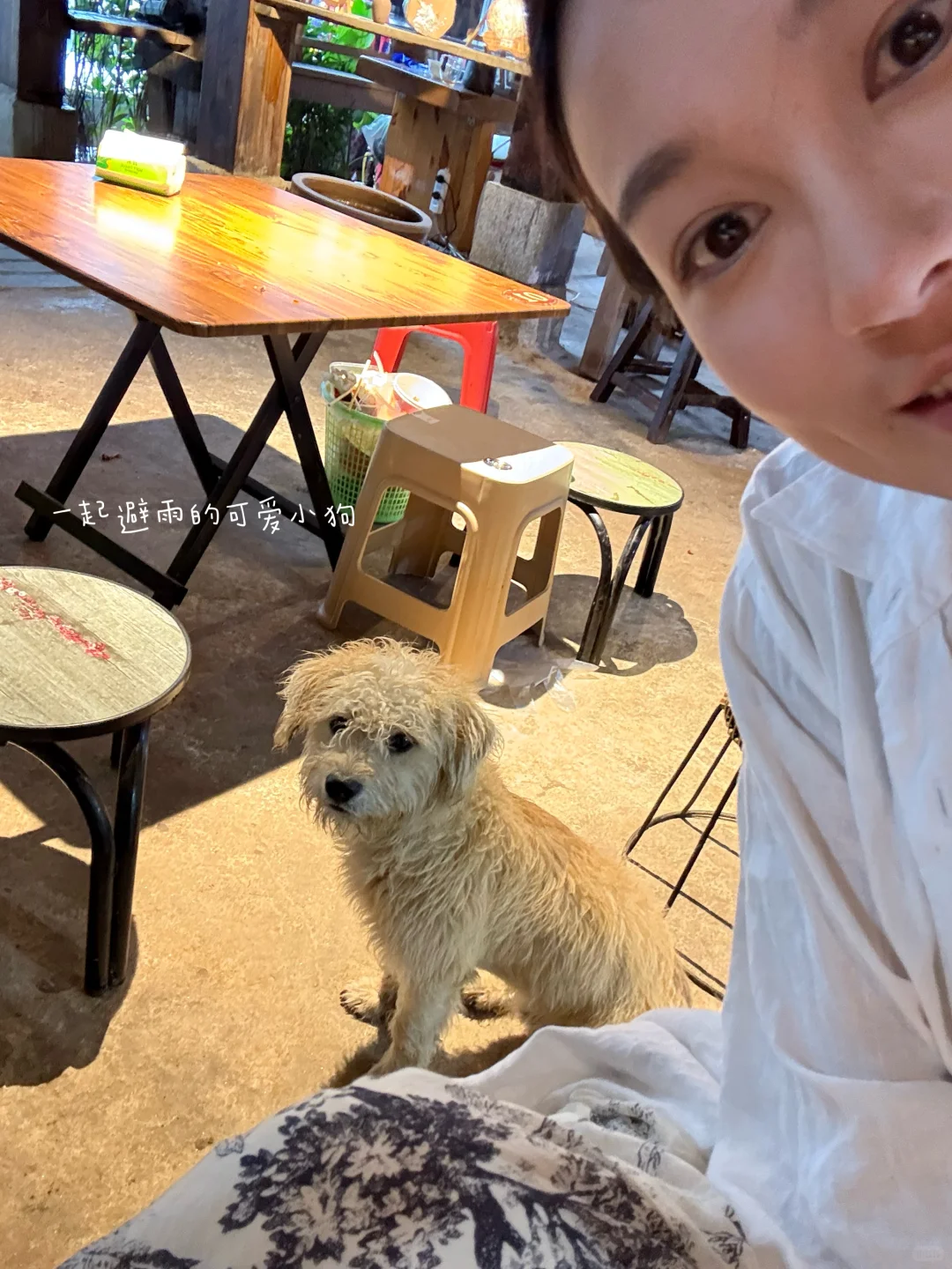 景迈山 ｜糯干古寨