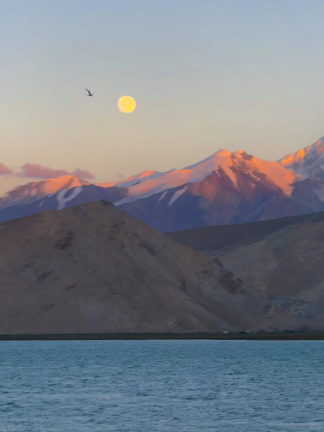 这辈子都舍不得删的live图…