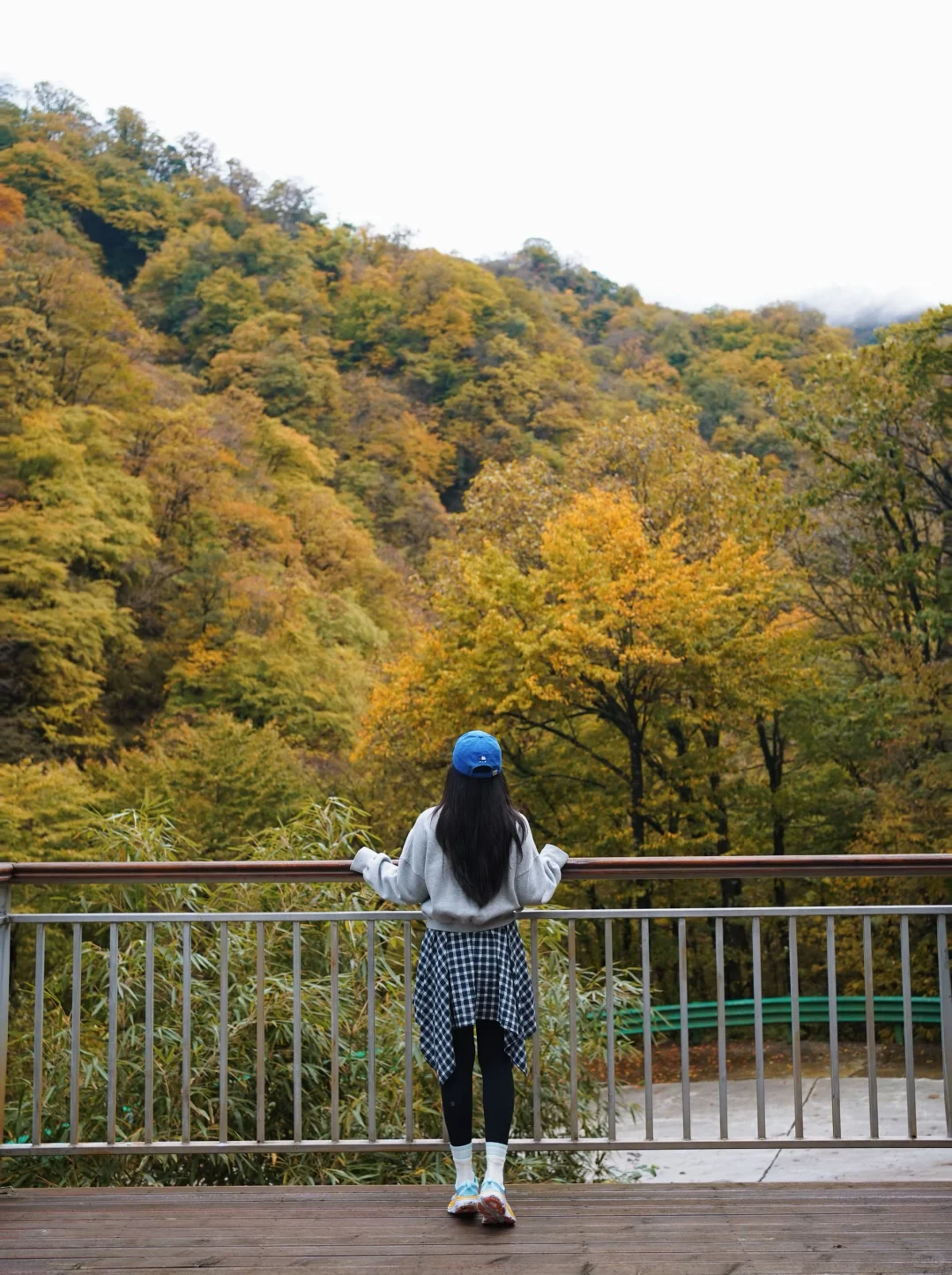 成都🚄一日往返油画彩林🍁徒步美哭了