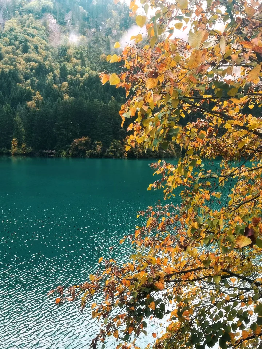 在九寨沟内住，怎么样才能放心大胆的玩🔥