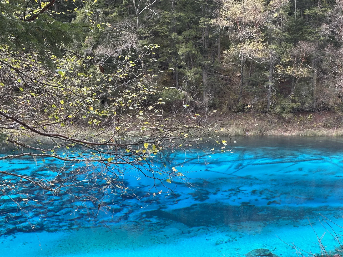九寨沟避堵路线，把旺季当成淡季玩⛰️