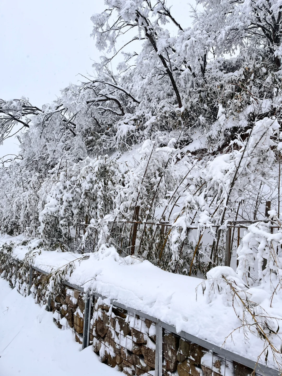 浙江安吉|江浙沪有自己的阿勒泰