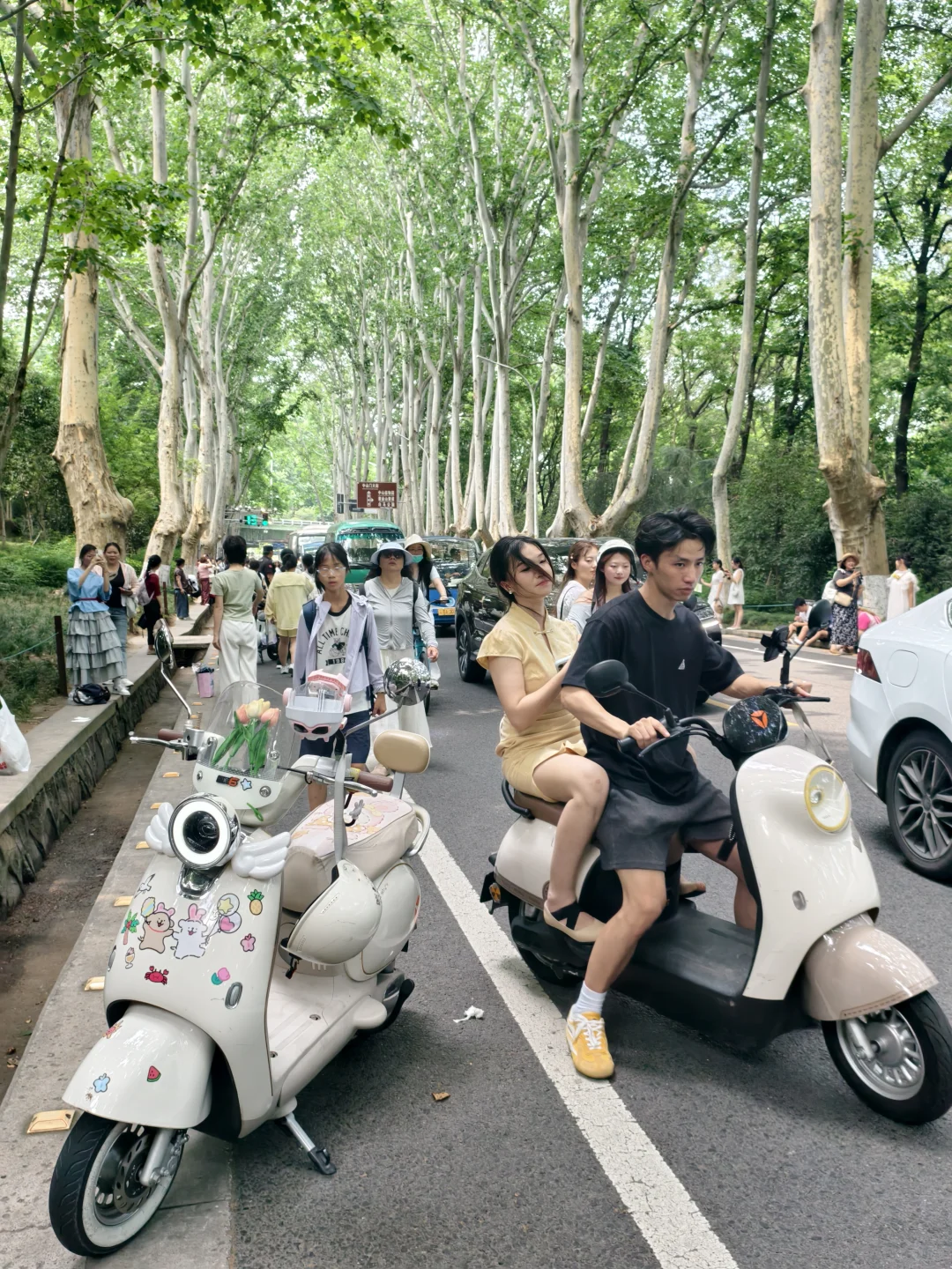 南京旅游真的会惩罚每一个不租车骑的游客!