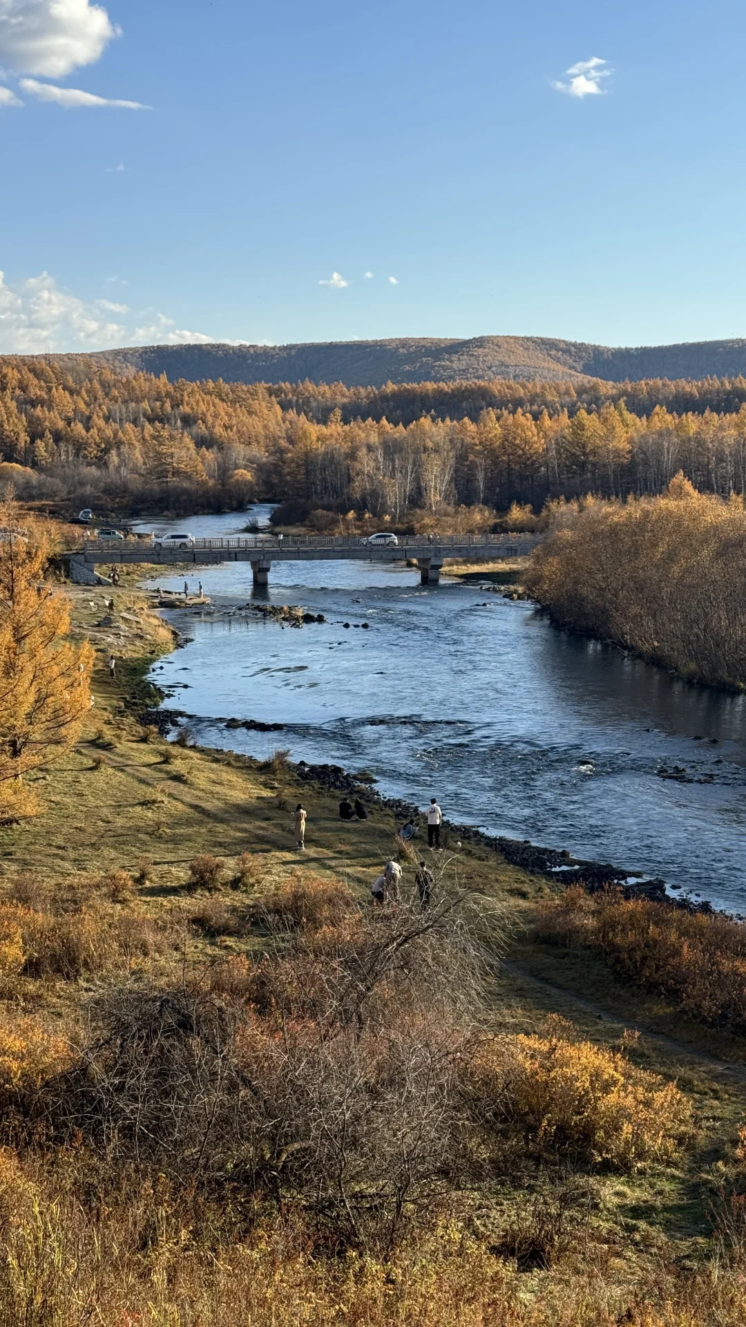阿尔山怎么美成这样🍂‼️
