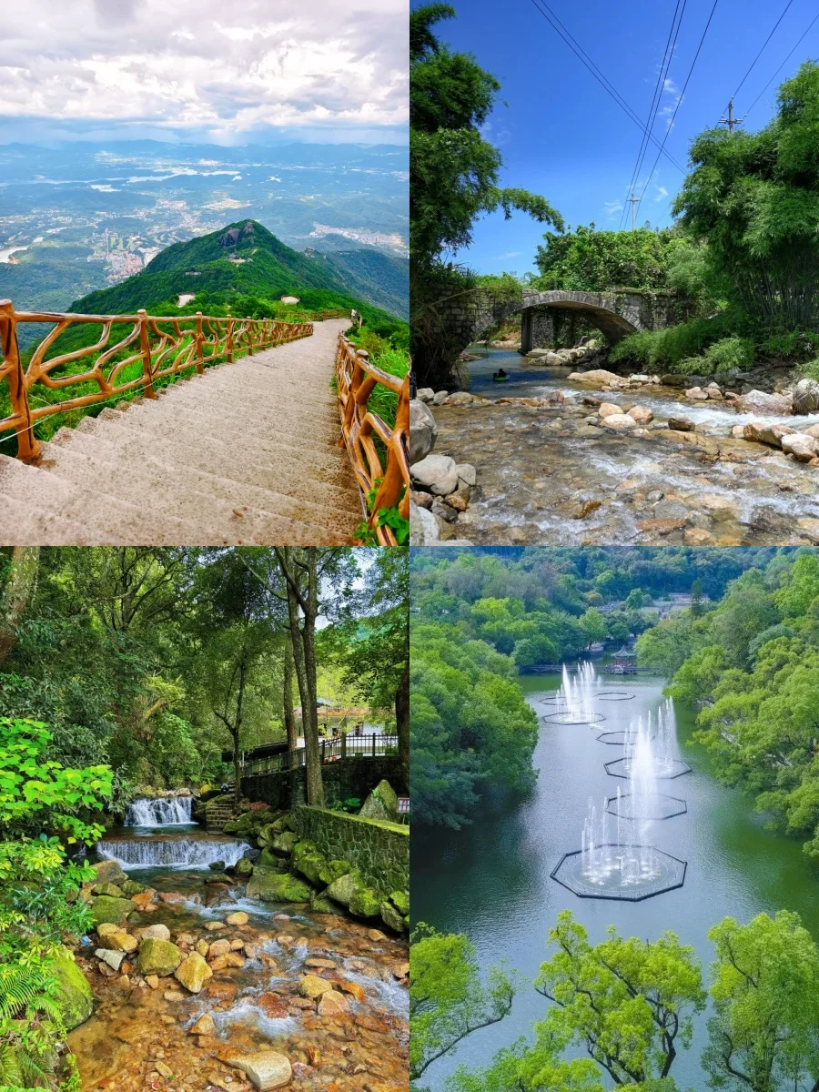 🍁秋日团建天花板！罗浮山 2 天 1 夜
