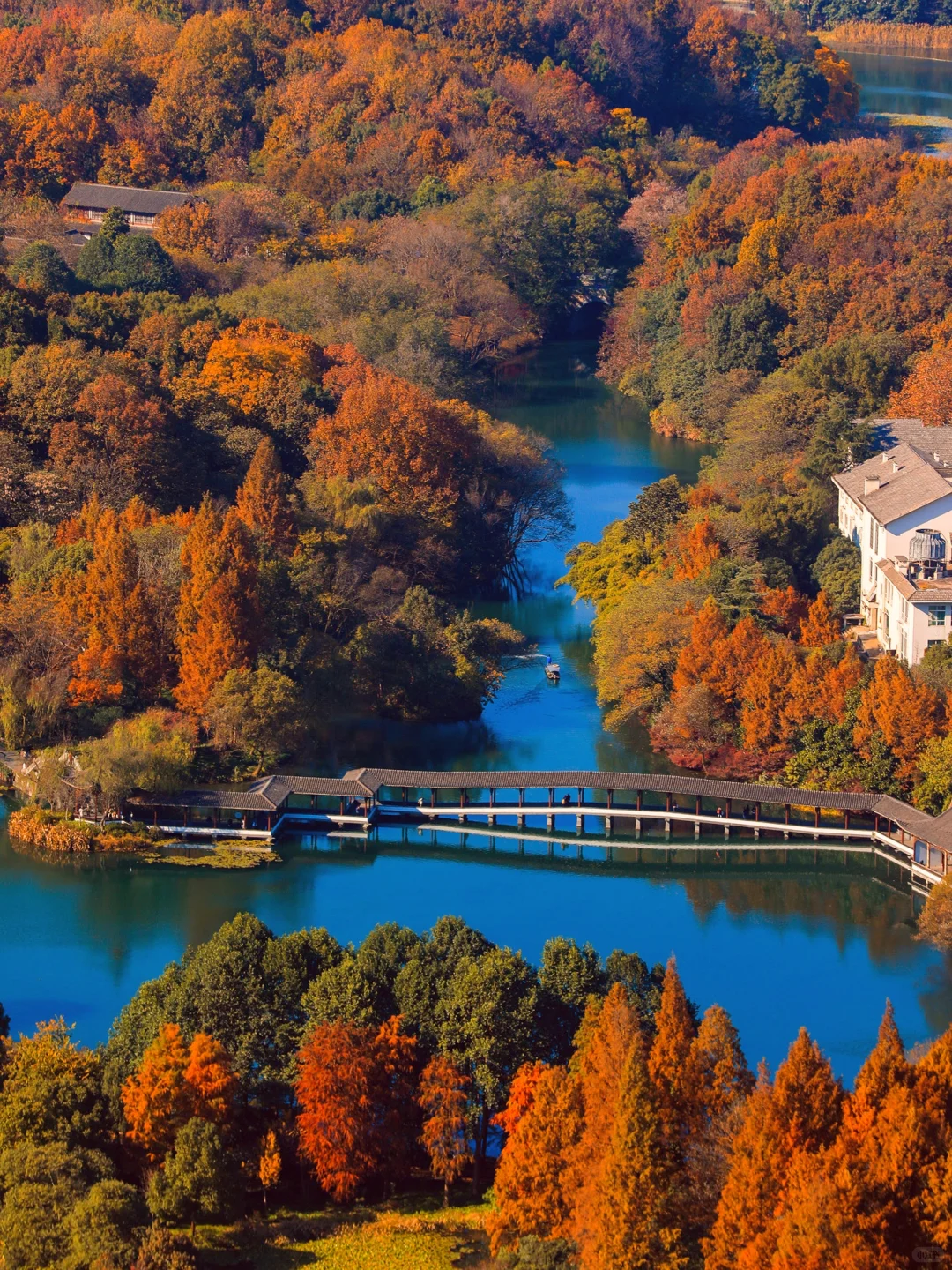 杭州最美的秋景都是免费的🍂附机位！