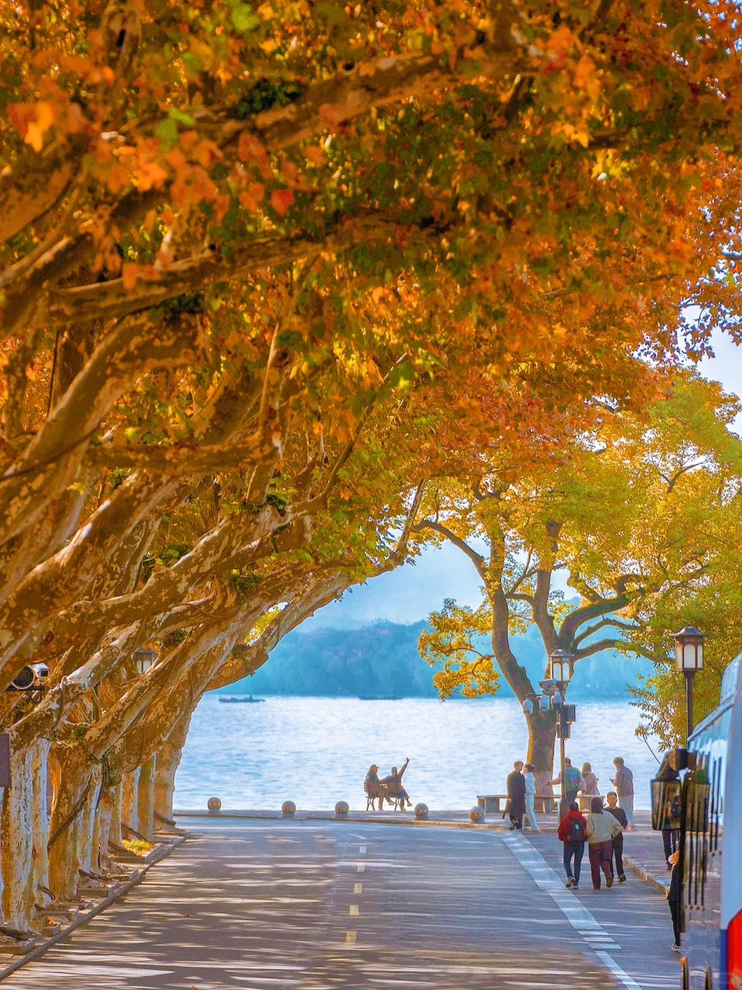 杭州最美的秋景都是免费的🍂附机位！