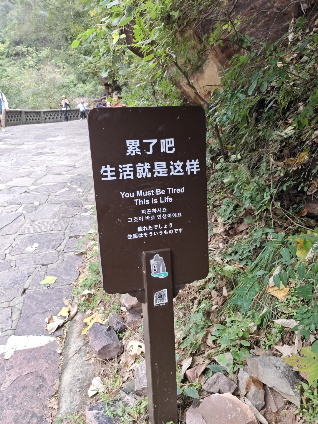 八里沟之九莲山一／半日游攻略