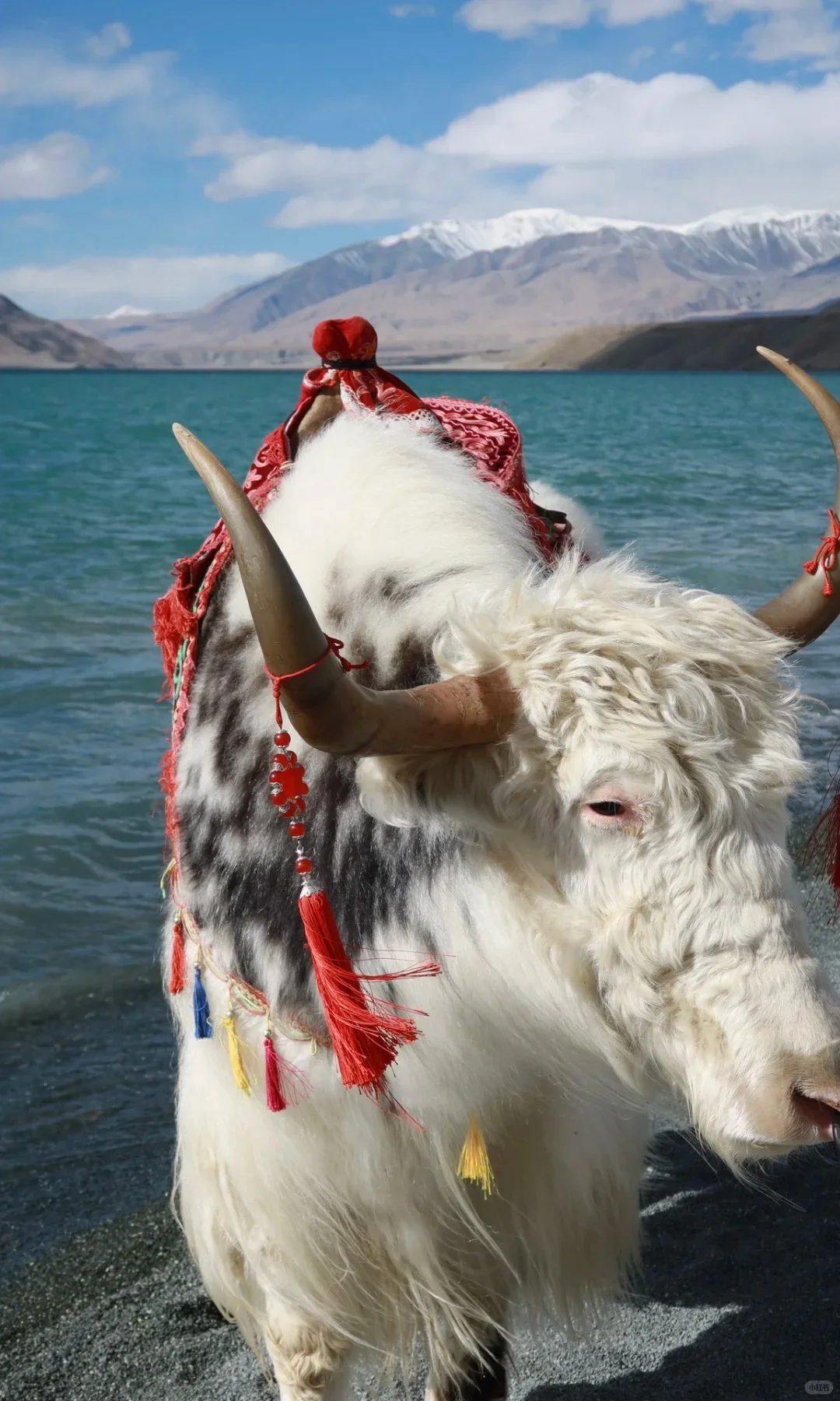 10月份的南疆绝了!很难没有戒断反应。。。