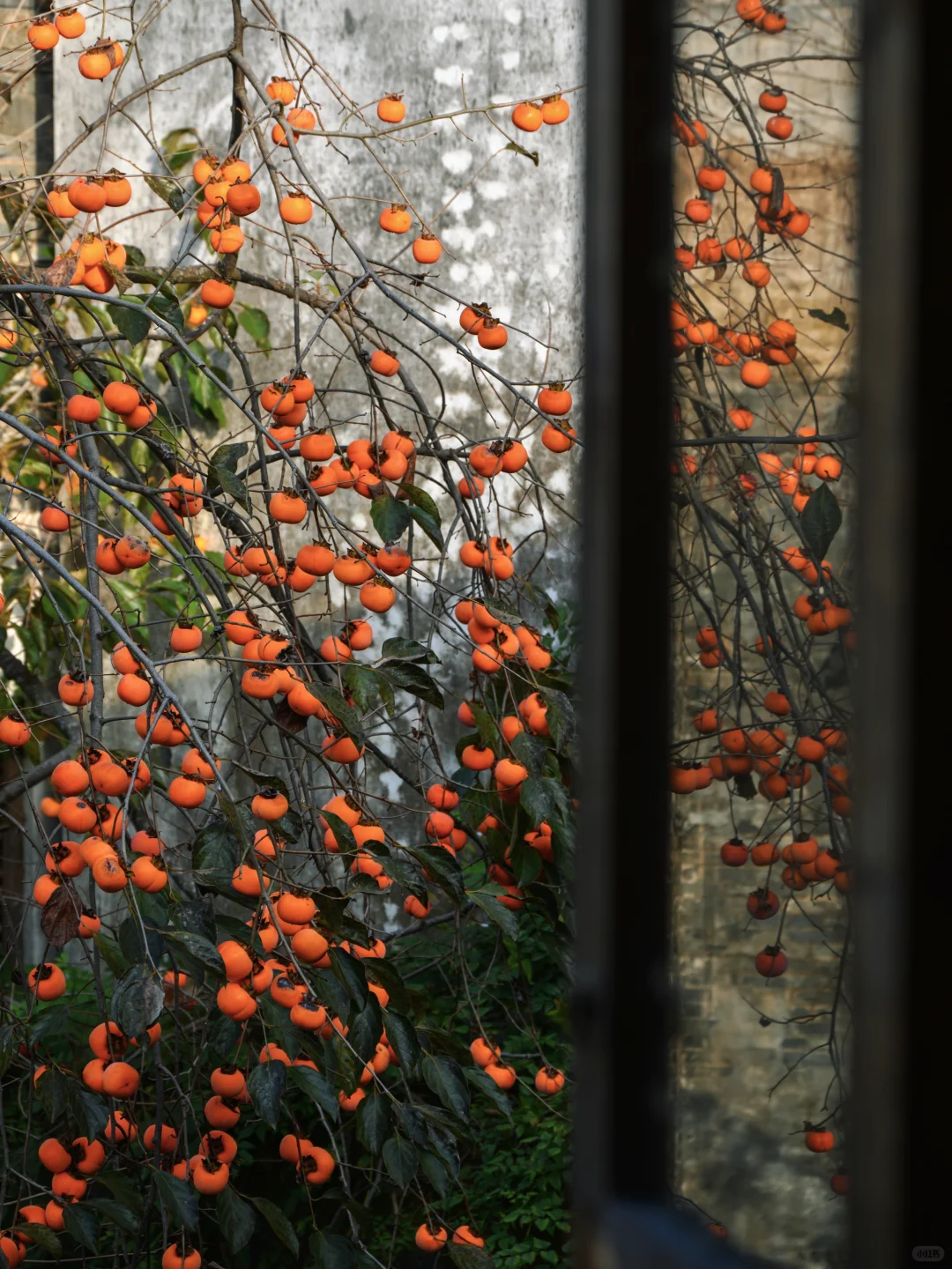 为了这扇窗,我特意去了一趟皖南