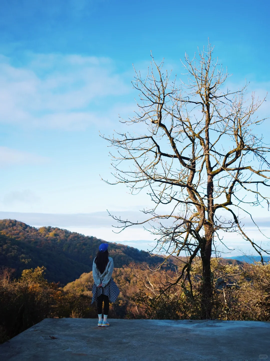 成都🚄一日往返油画彩林🍁徒步美哭了