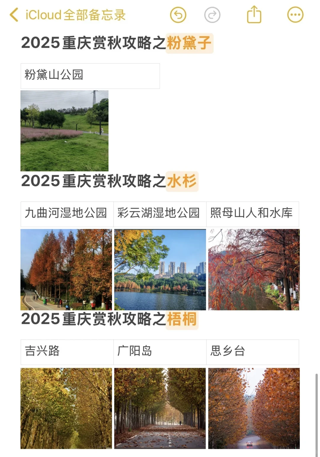 2025重庆赏秋时刻表📅