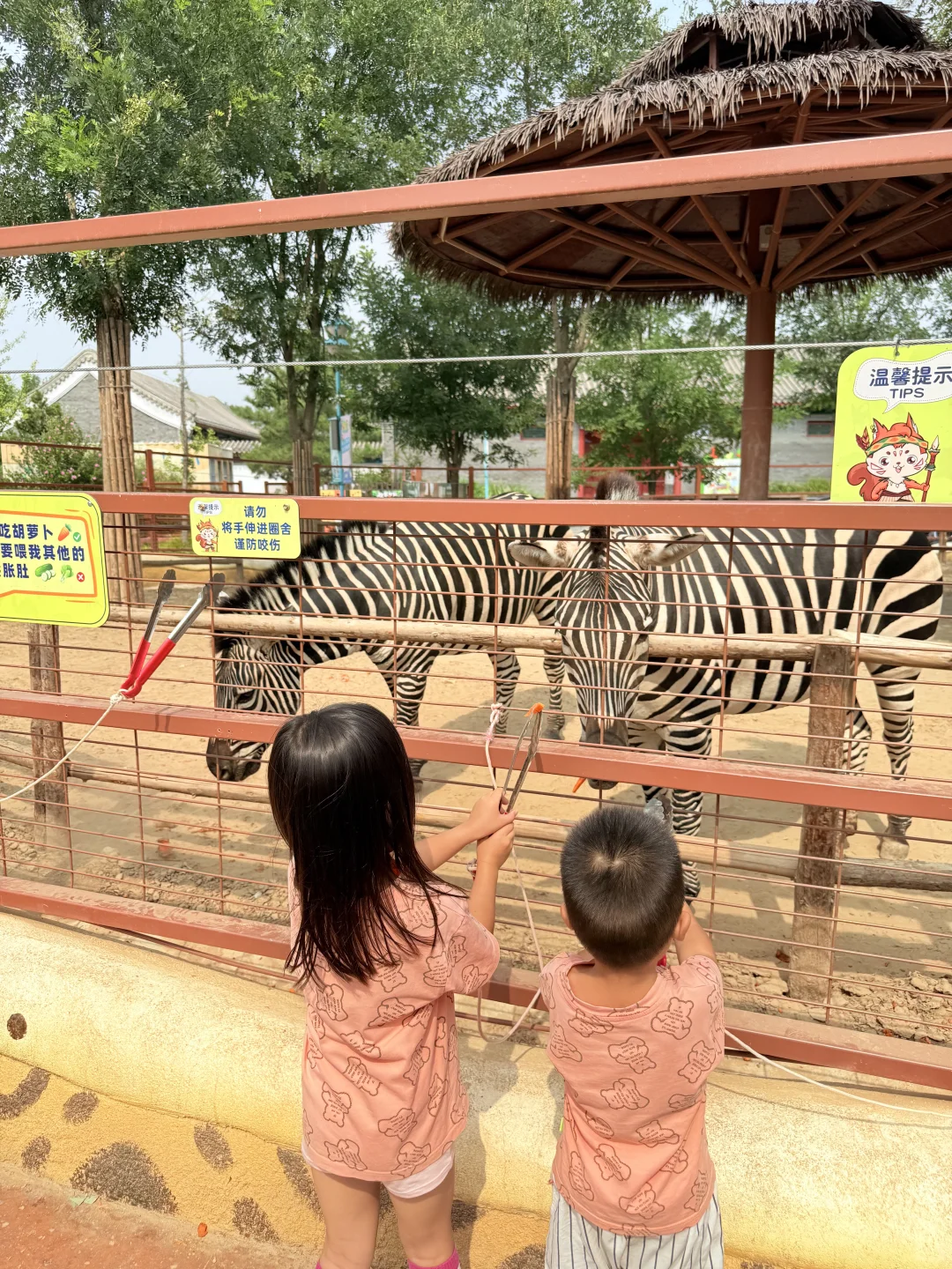 十一躺平亲子旅游🚩——雄安3天2夜