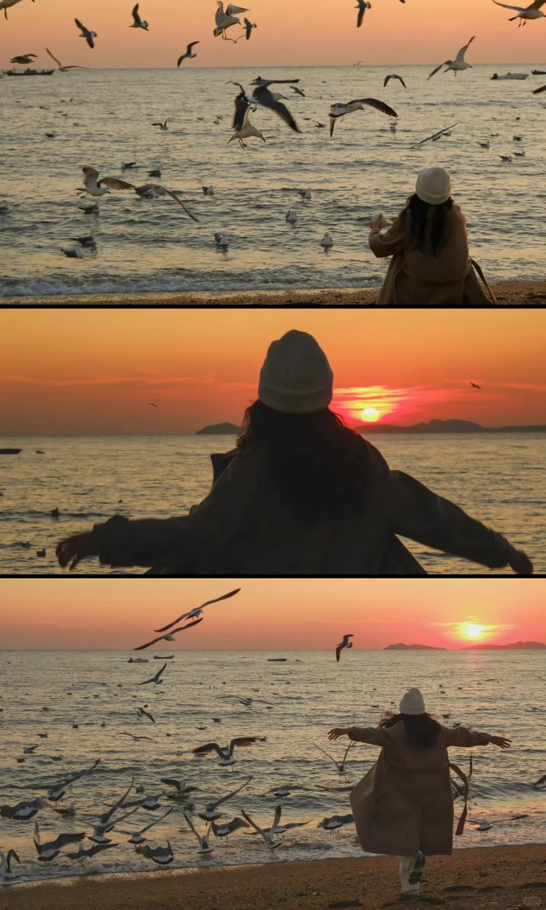 接下来的大连🌊