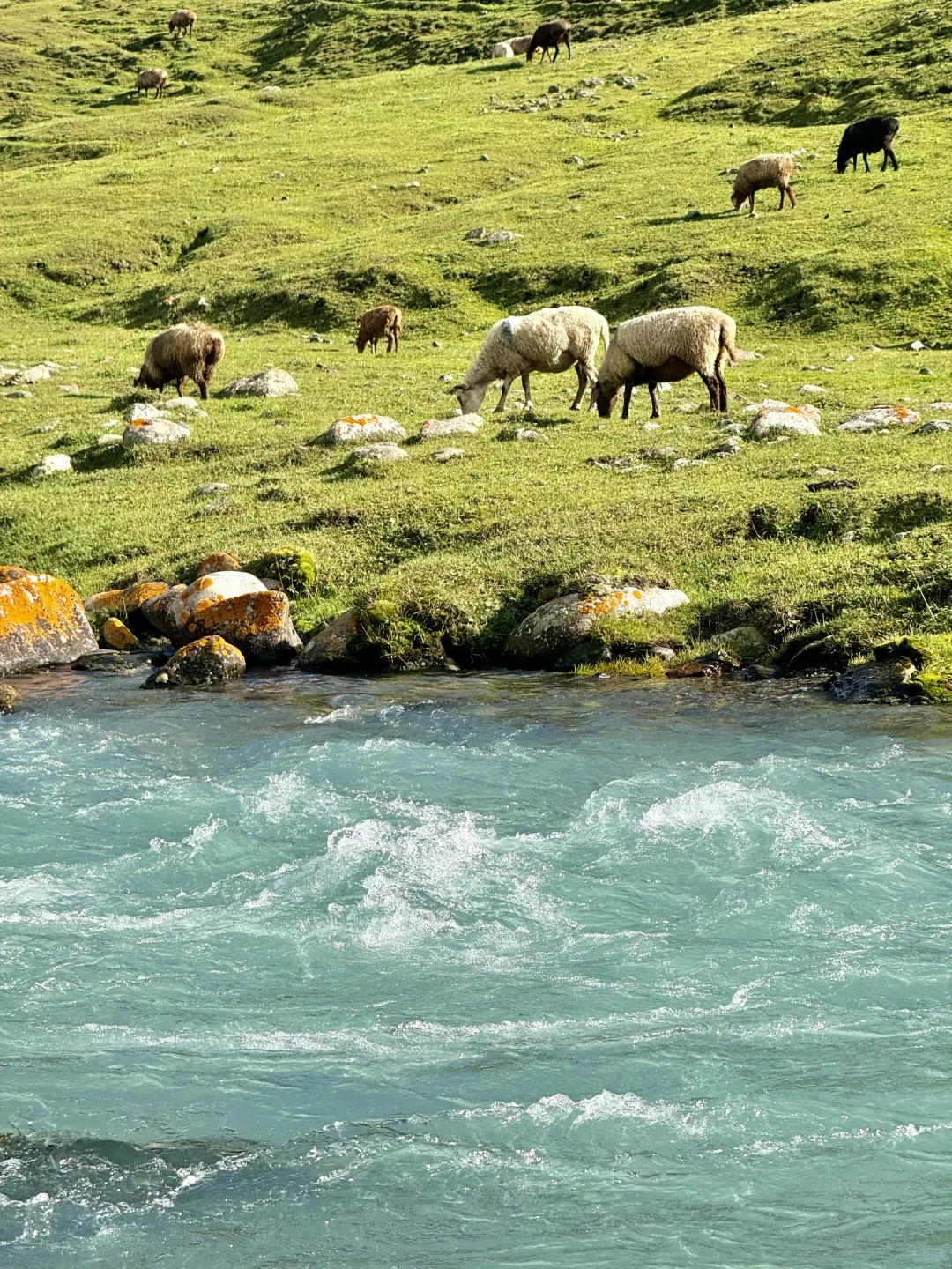 这辈子都舍不得删的live图…