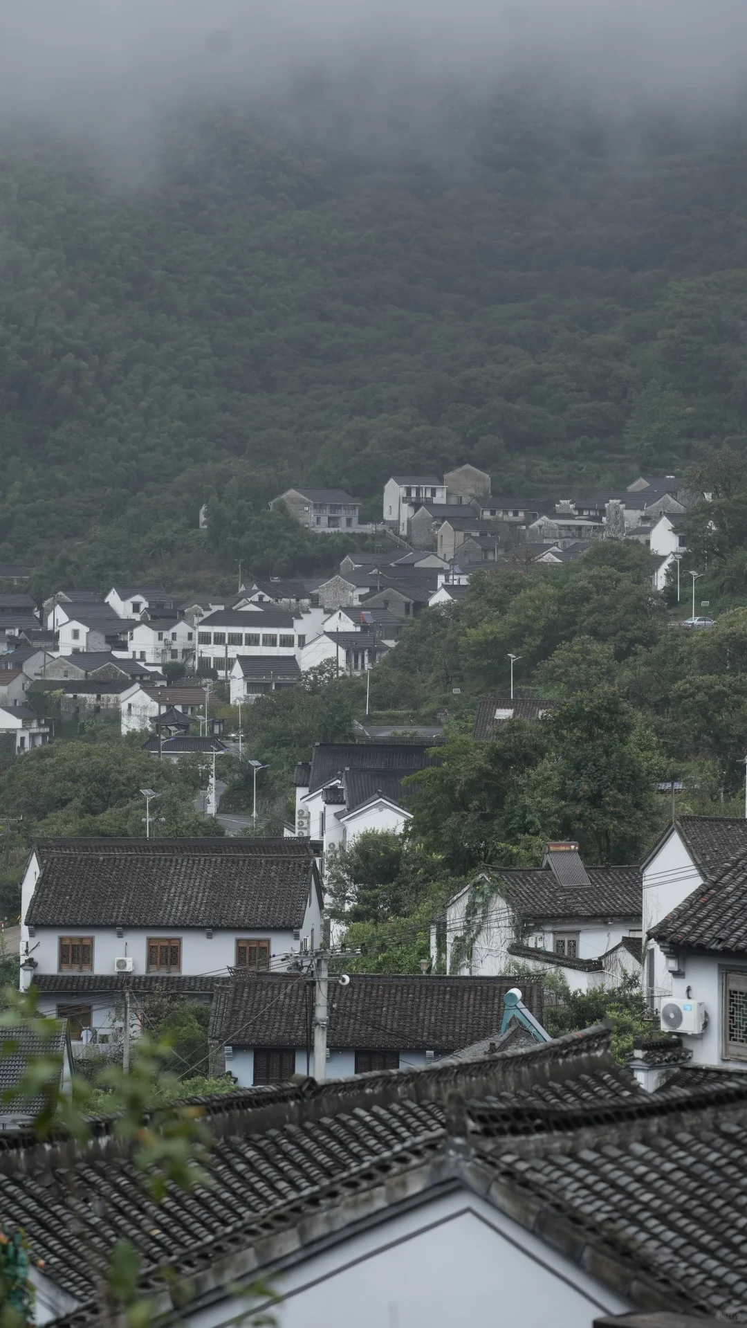 上海出发 江浙徒步 周末去哪里｜覆卮山⛰️